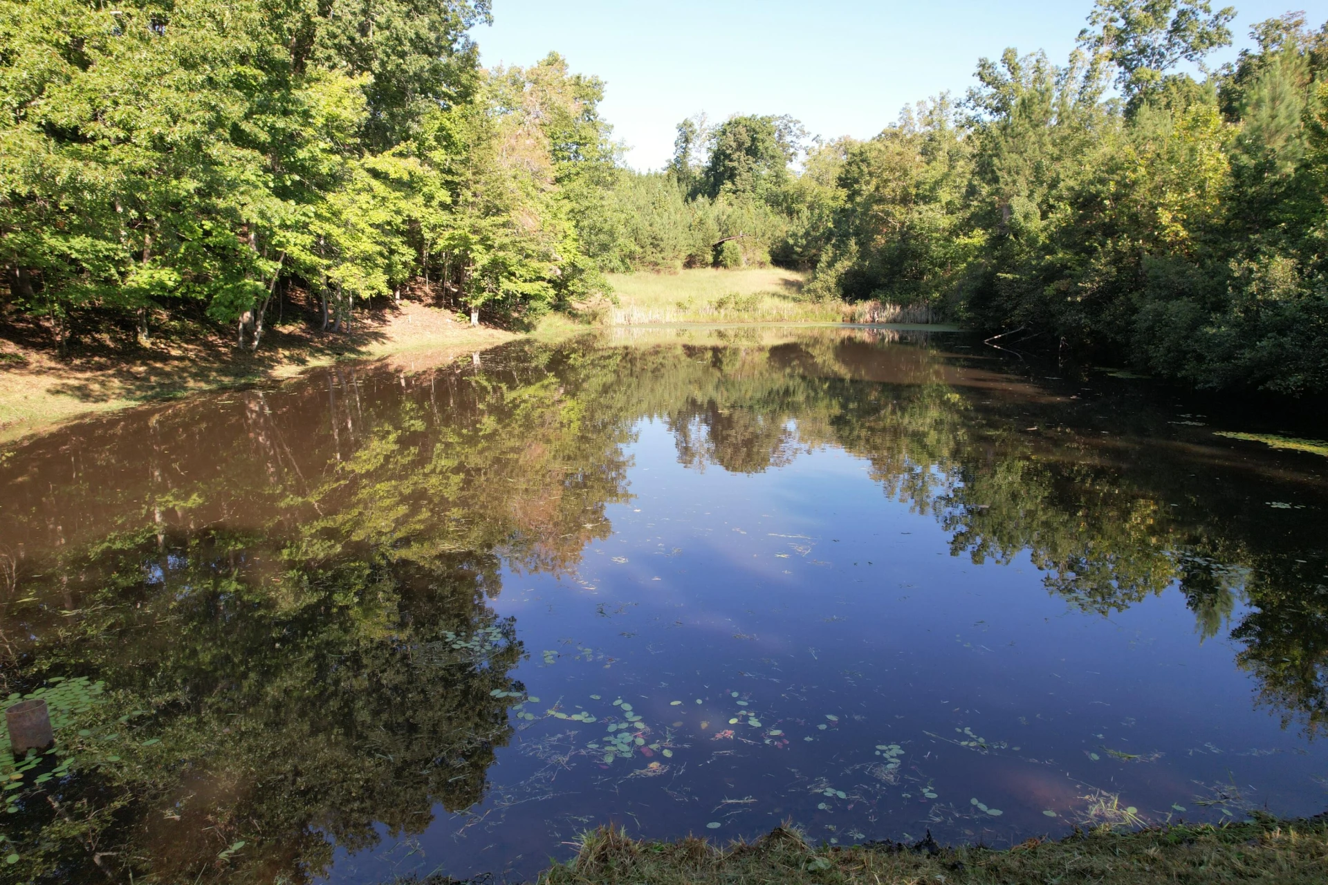 1145 Sugar Barbour RD - Photo 82