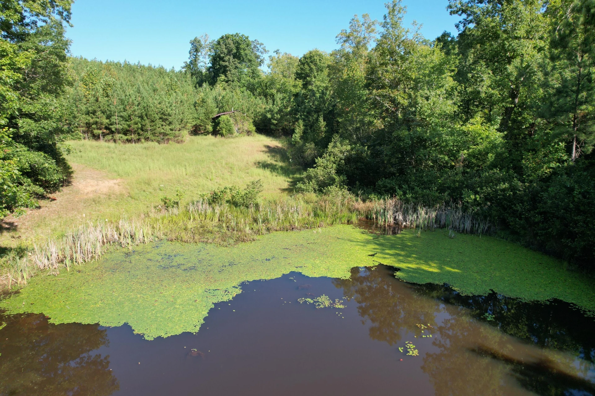 1145 Sugar Barbour RD - Photo 83