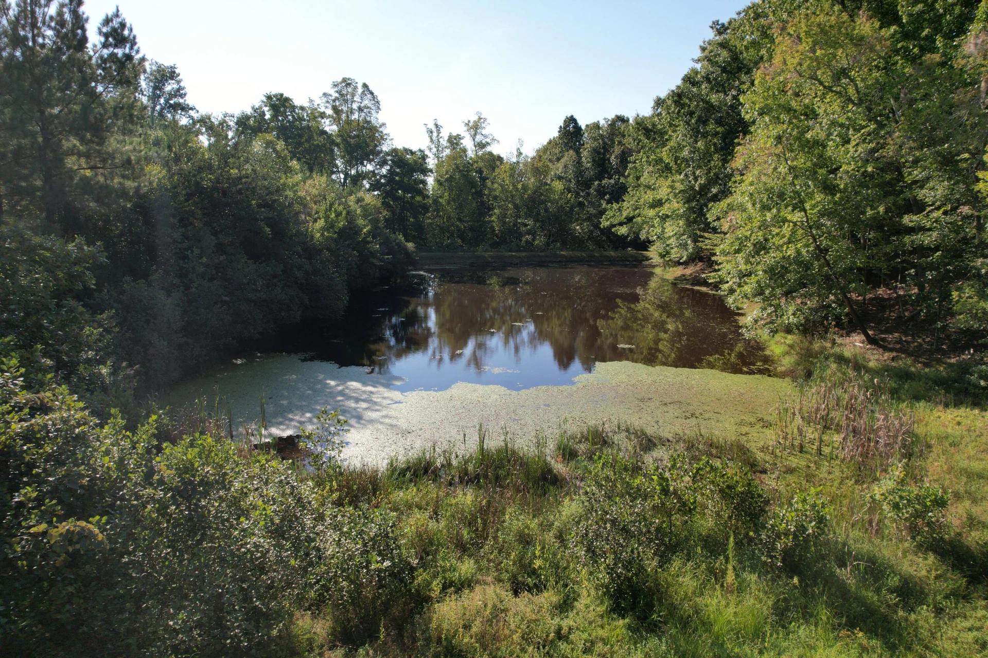 1145 Sugar Barbour RD - Photo 84