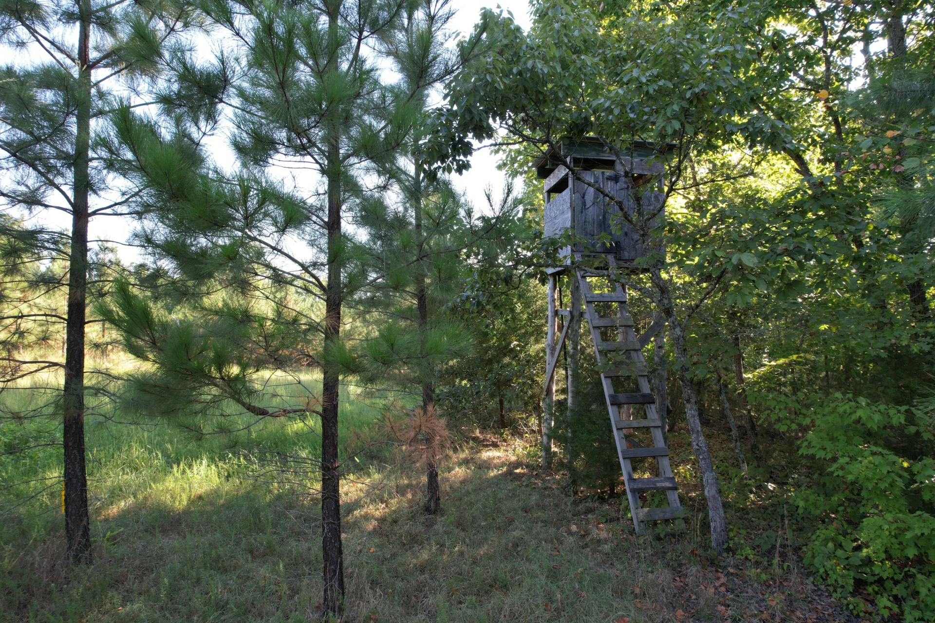 1145 Sugar Barbour RD - Photo 86