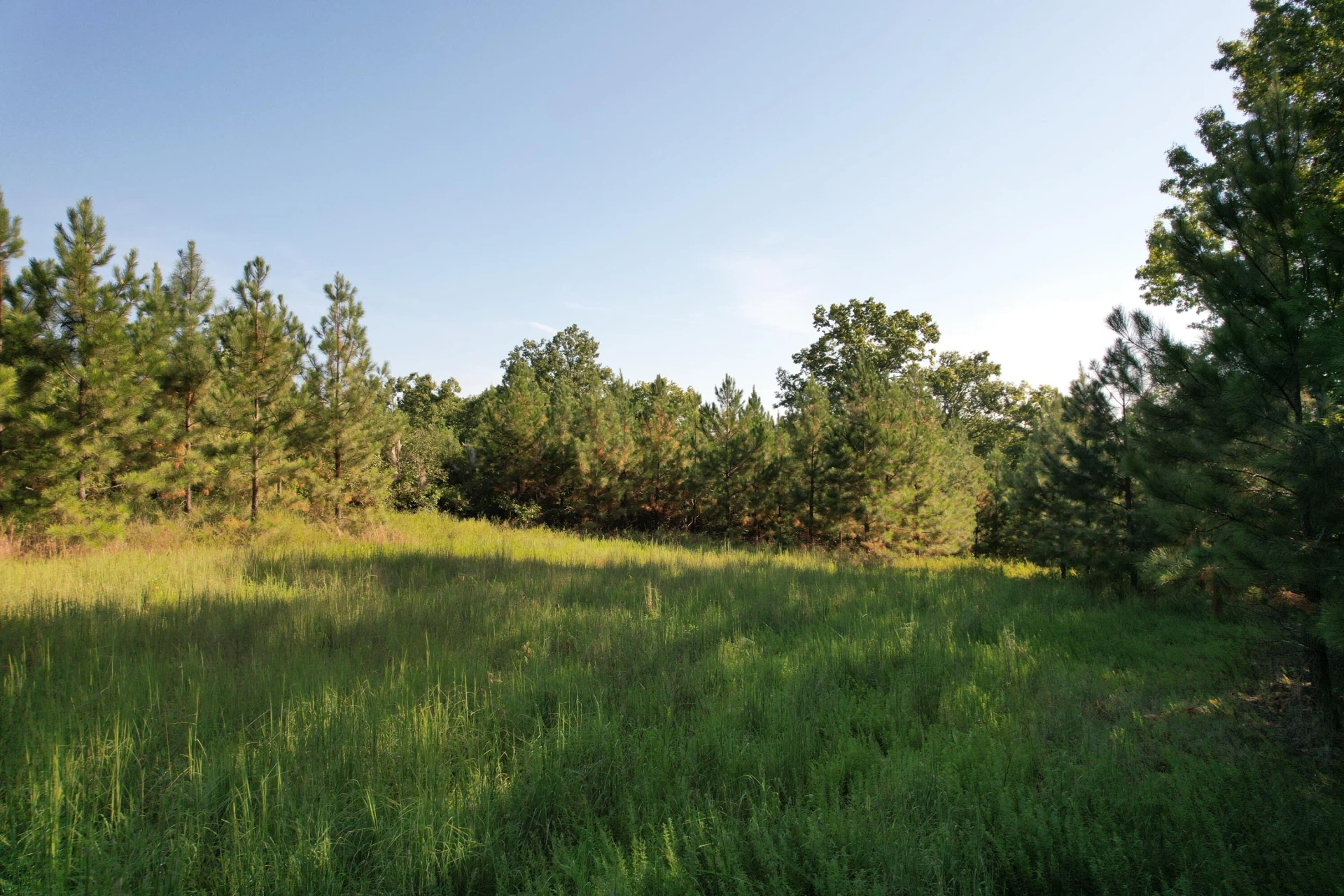 1145 Sugar Barbour RD - Photo 87