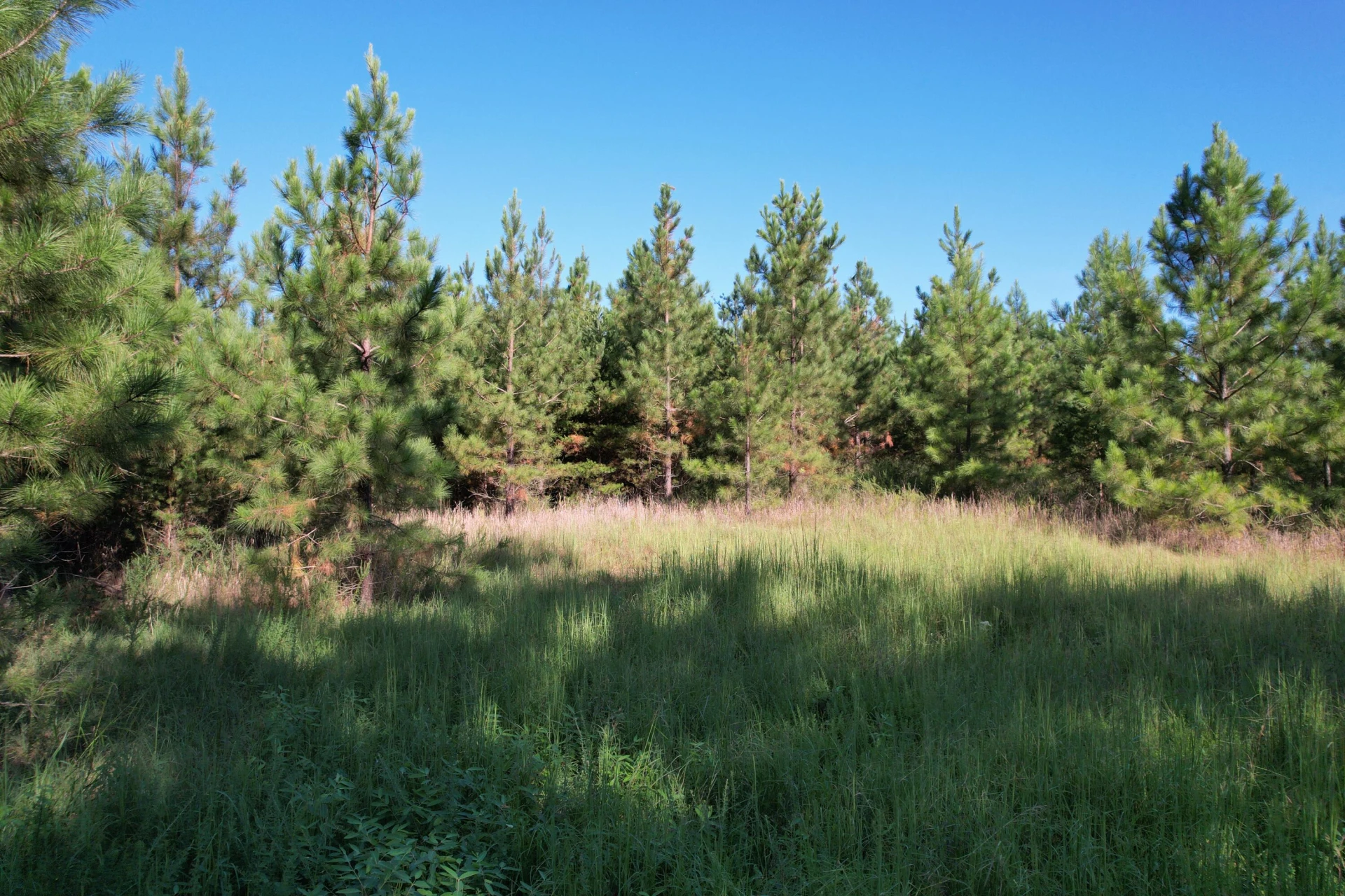 1145 Sugar Barbour RD - Photo 88