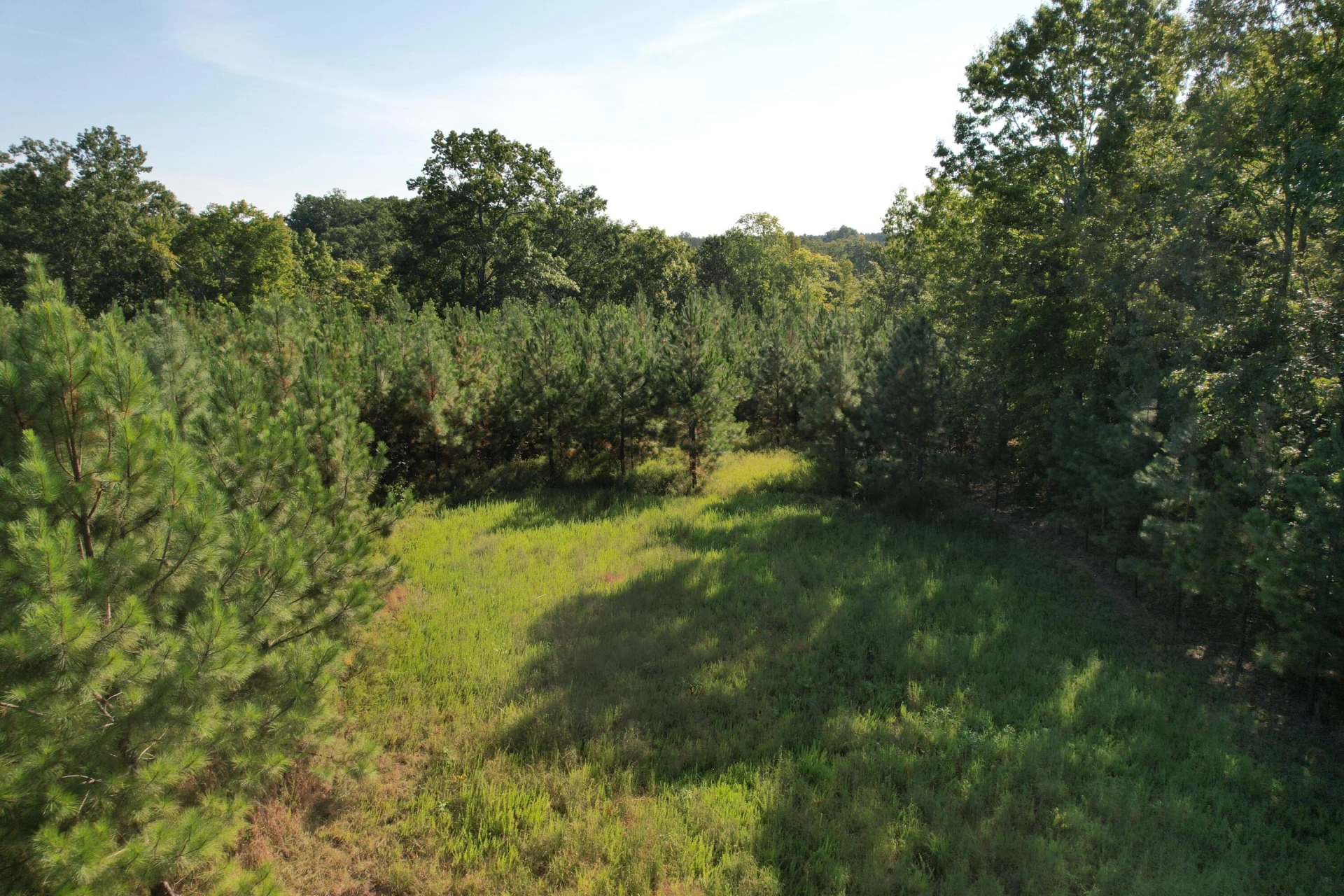 1145 Sugar Barbour RD - Photo 90
