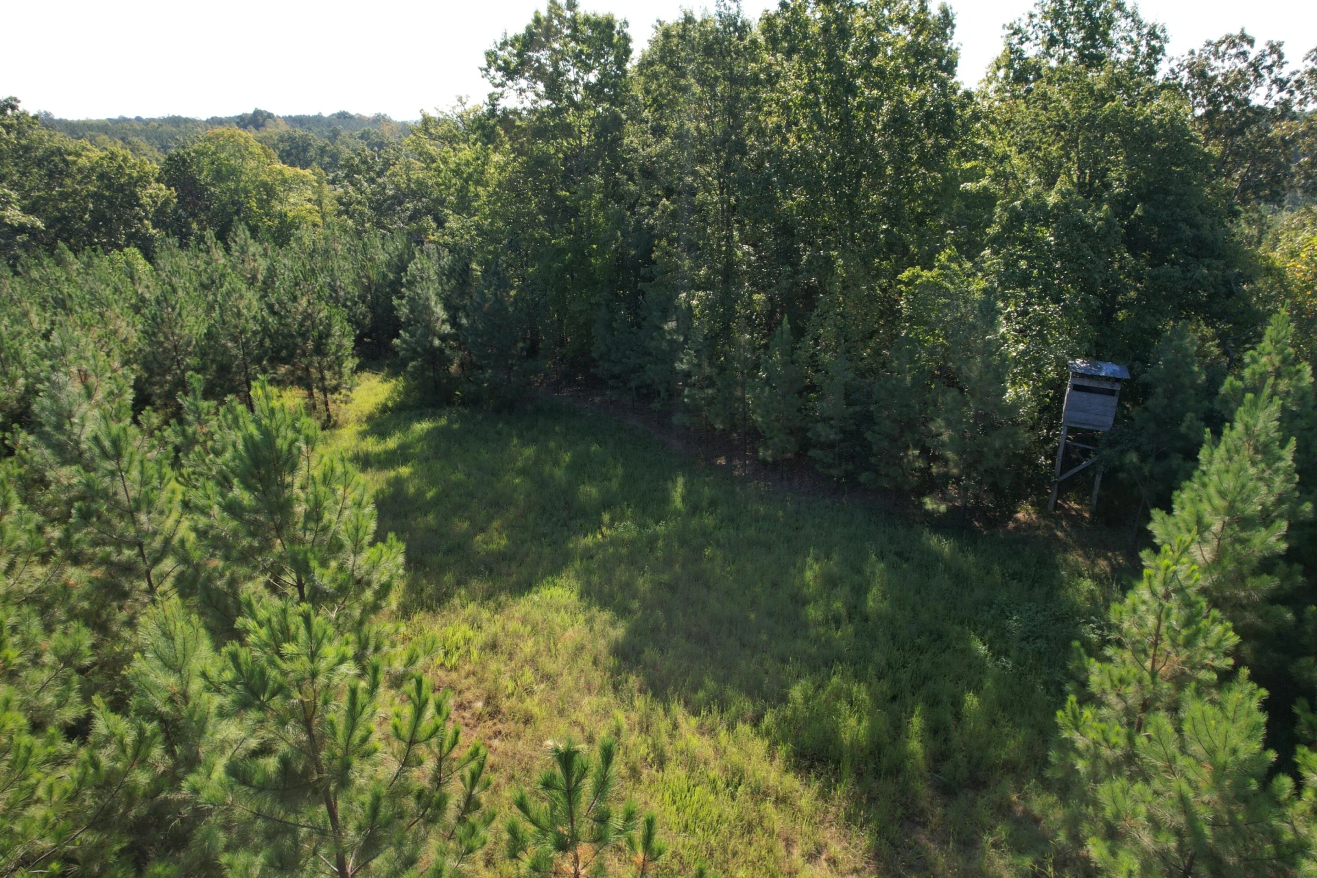 1145 Sugar Barbour RD - Photo 91