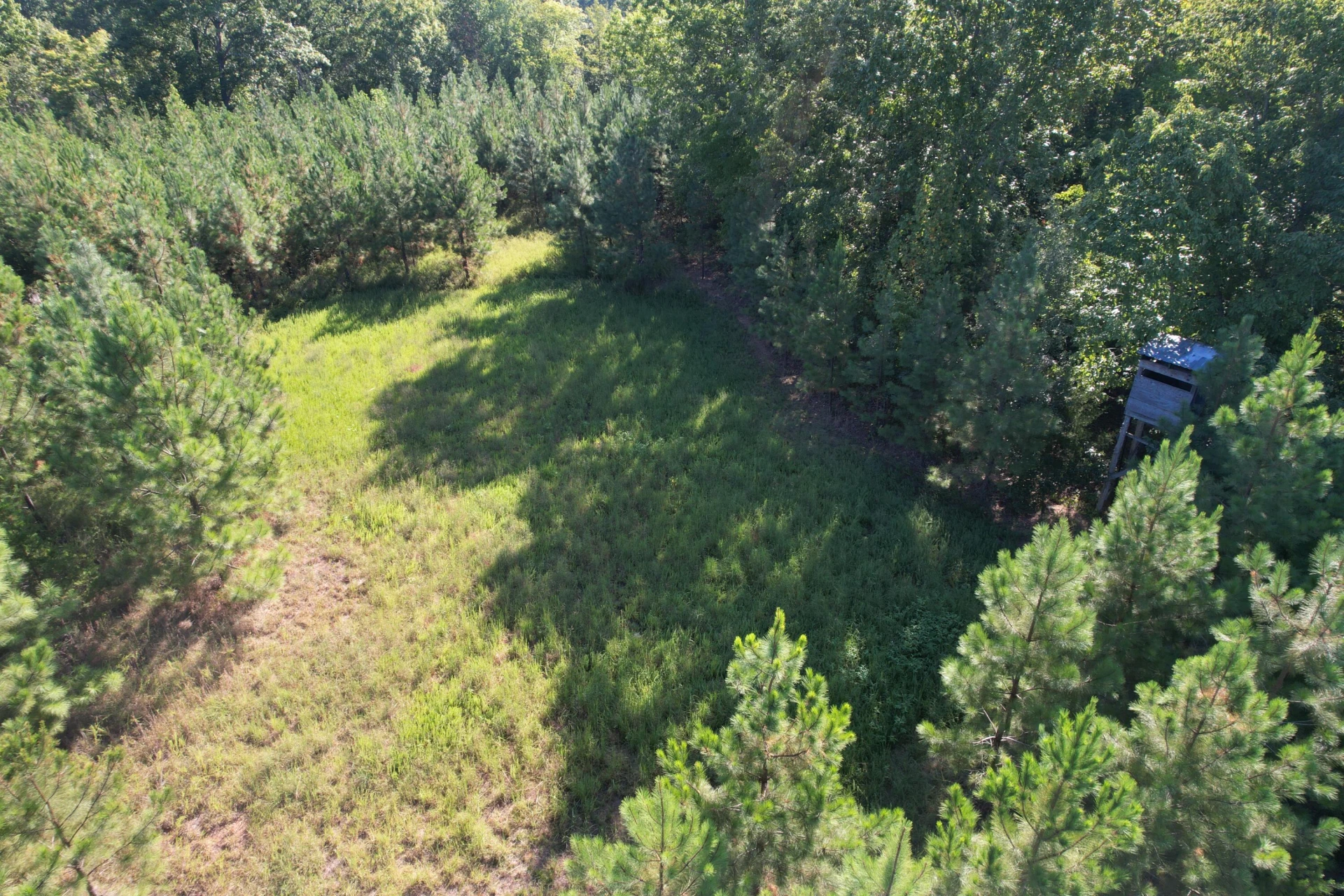 1145 Sugar Barbour RD - Photo 92