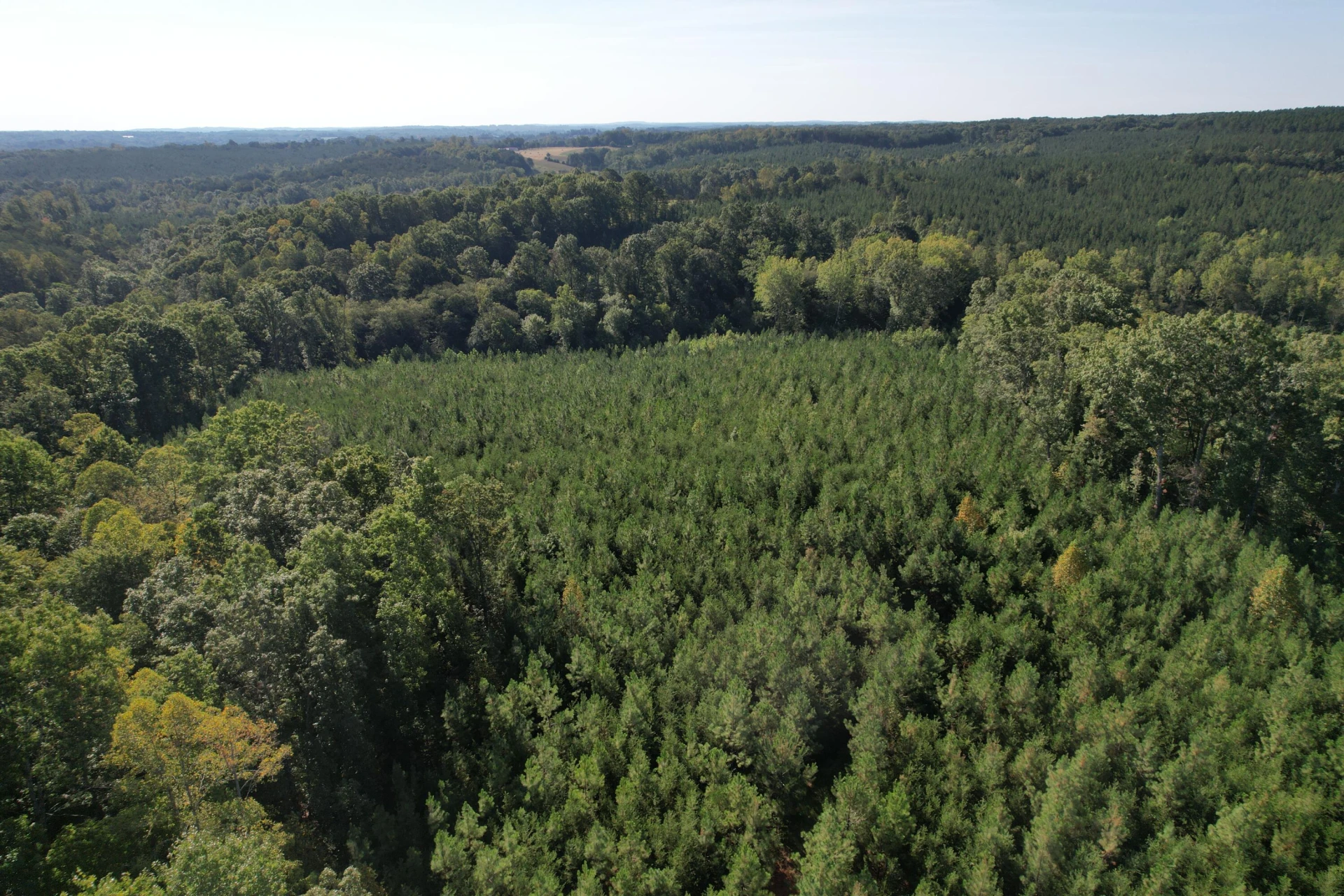 1145 Sugar Barbour RD - Photo 93