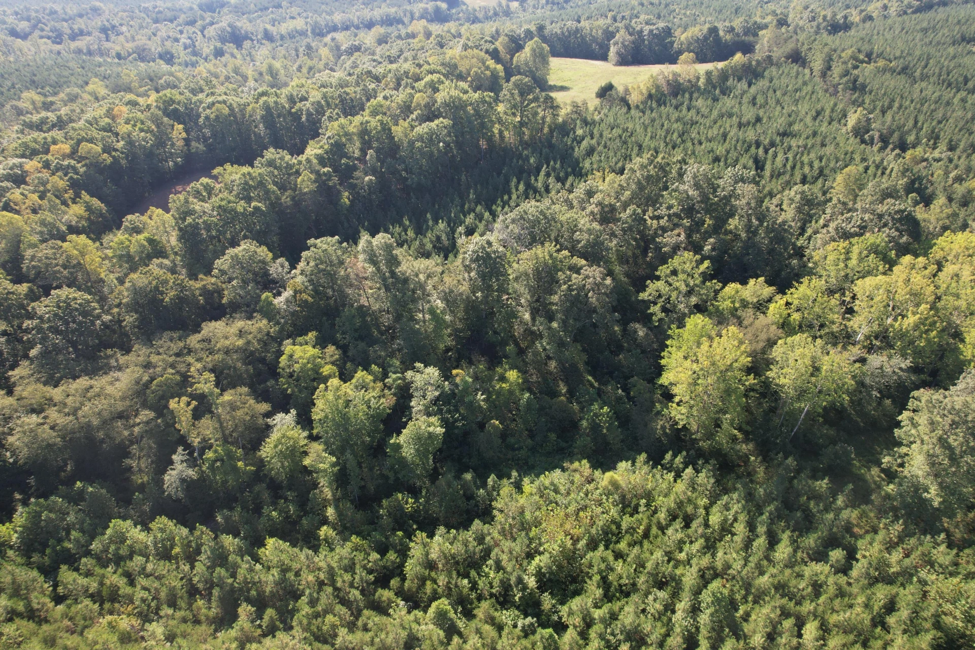 1145 Sugar Barbour RD - Photo 94