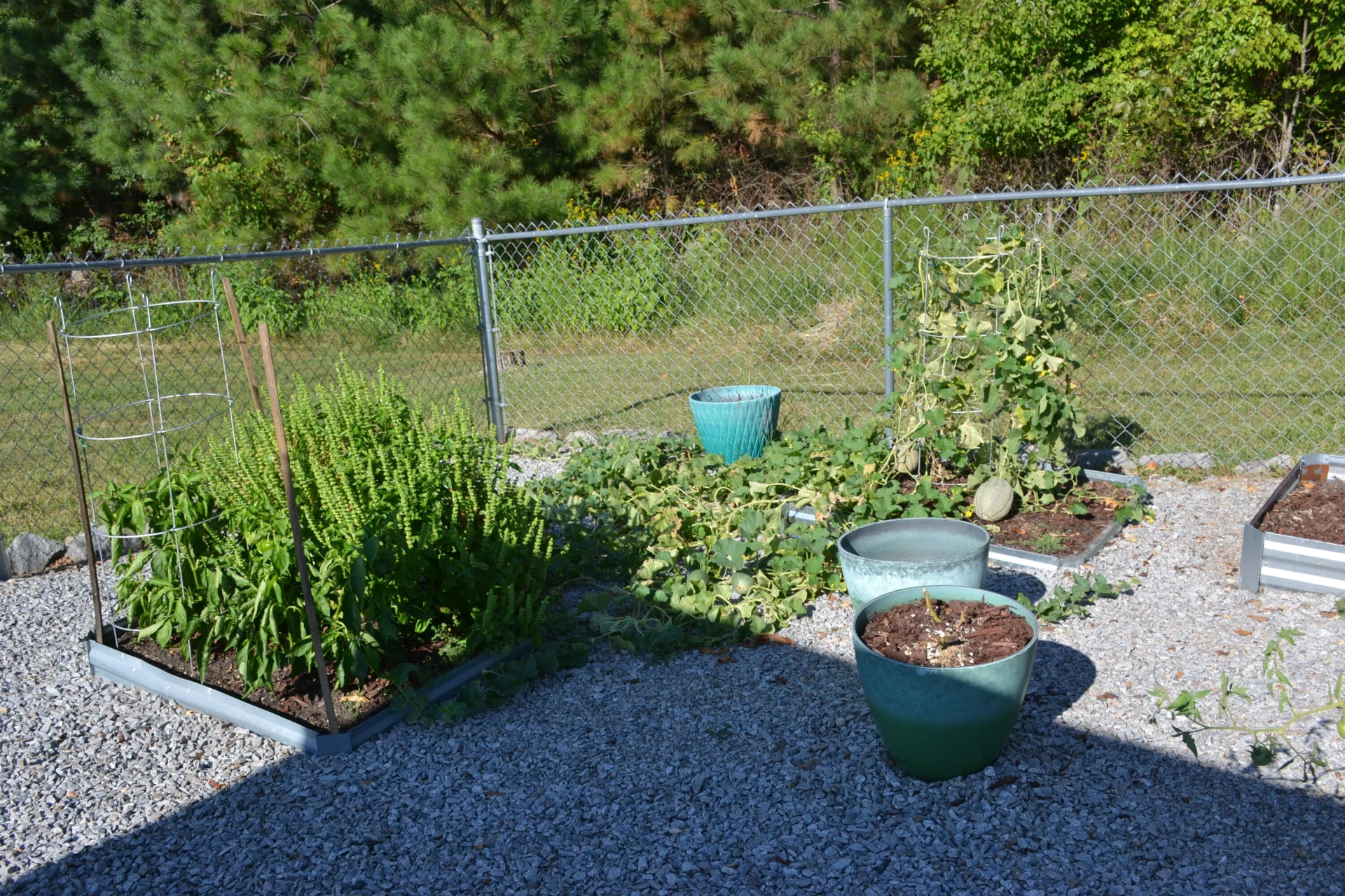 1145 Sugar Barbour RD - Photo 104