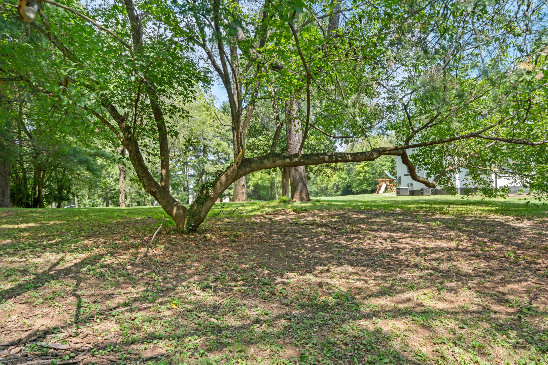 0 Shadwell DR - Photo 2
