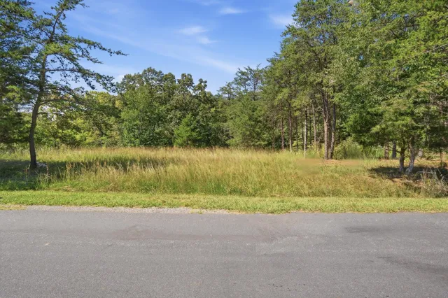 Lots 63&65 Meadow Point DR, Moneta, VA, 24121