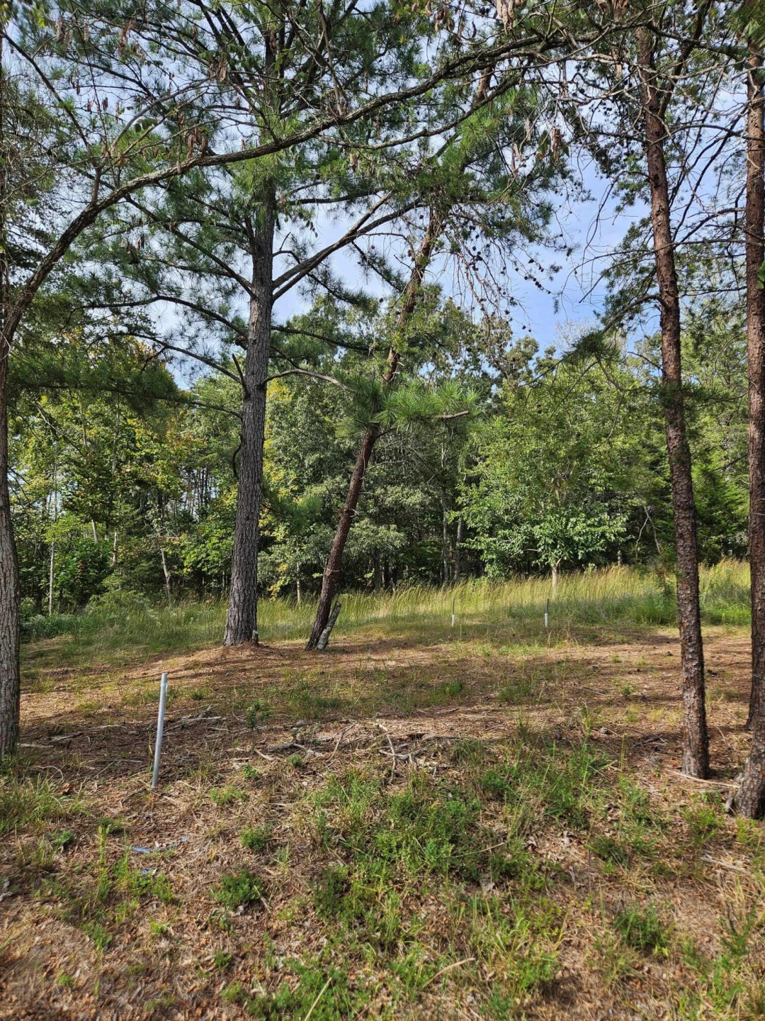 Lots 63&65 Meadow Point DR - Photo 11