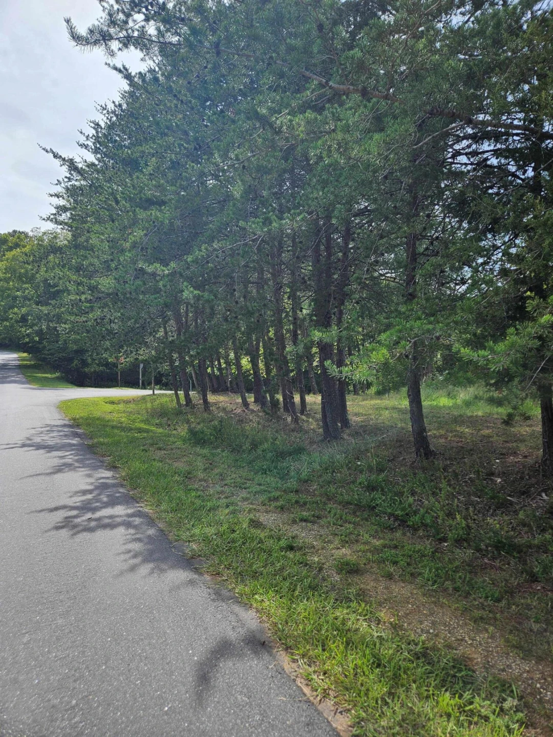 Lots 63&65 Meadow Point DR - Photo 12