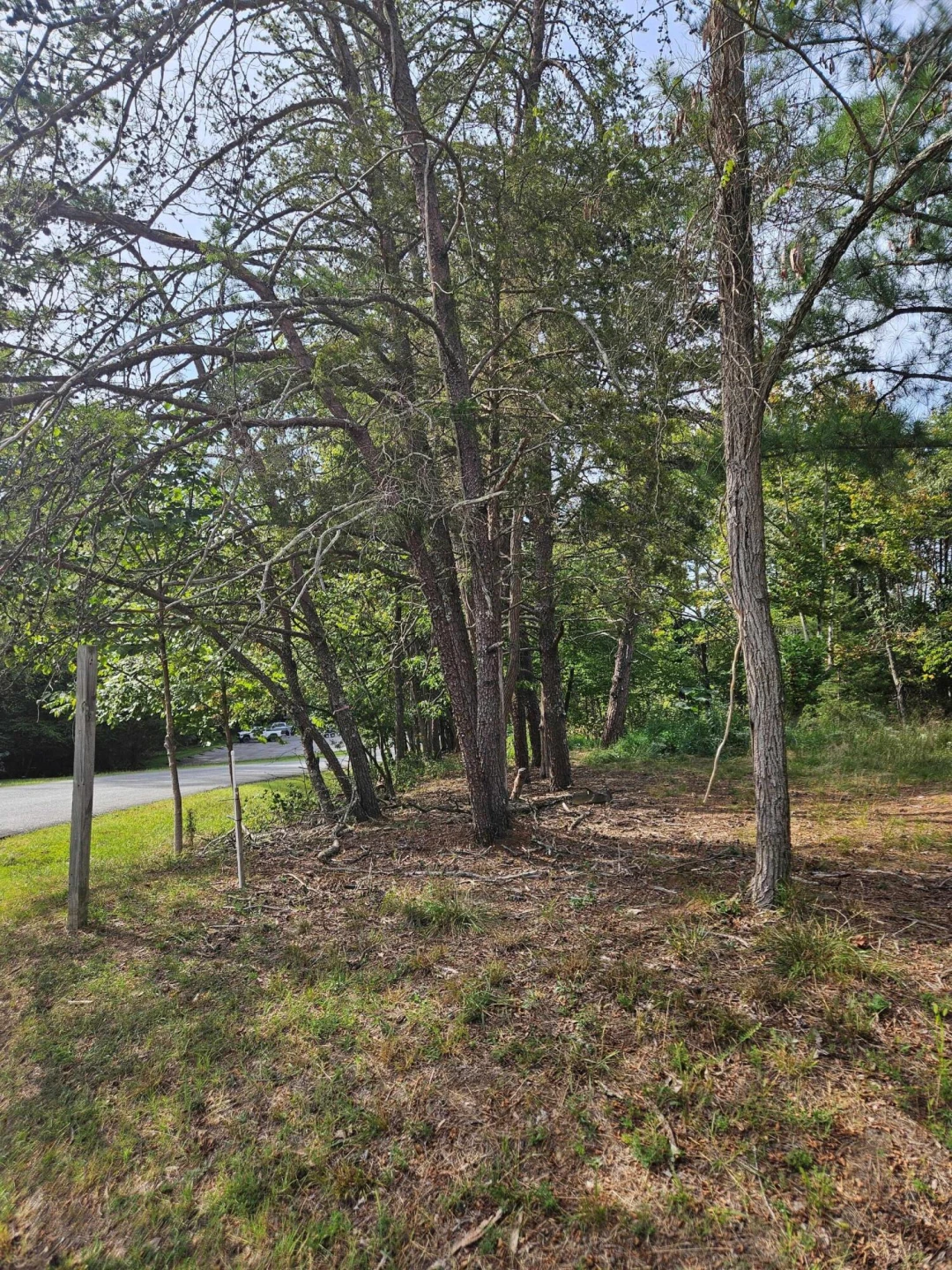 Lots 63&65 Meadow Point DR - Photo 13