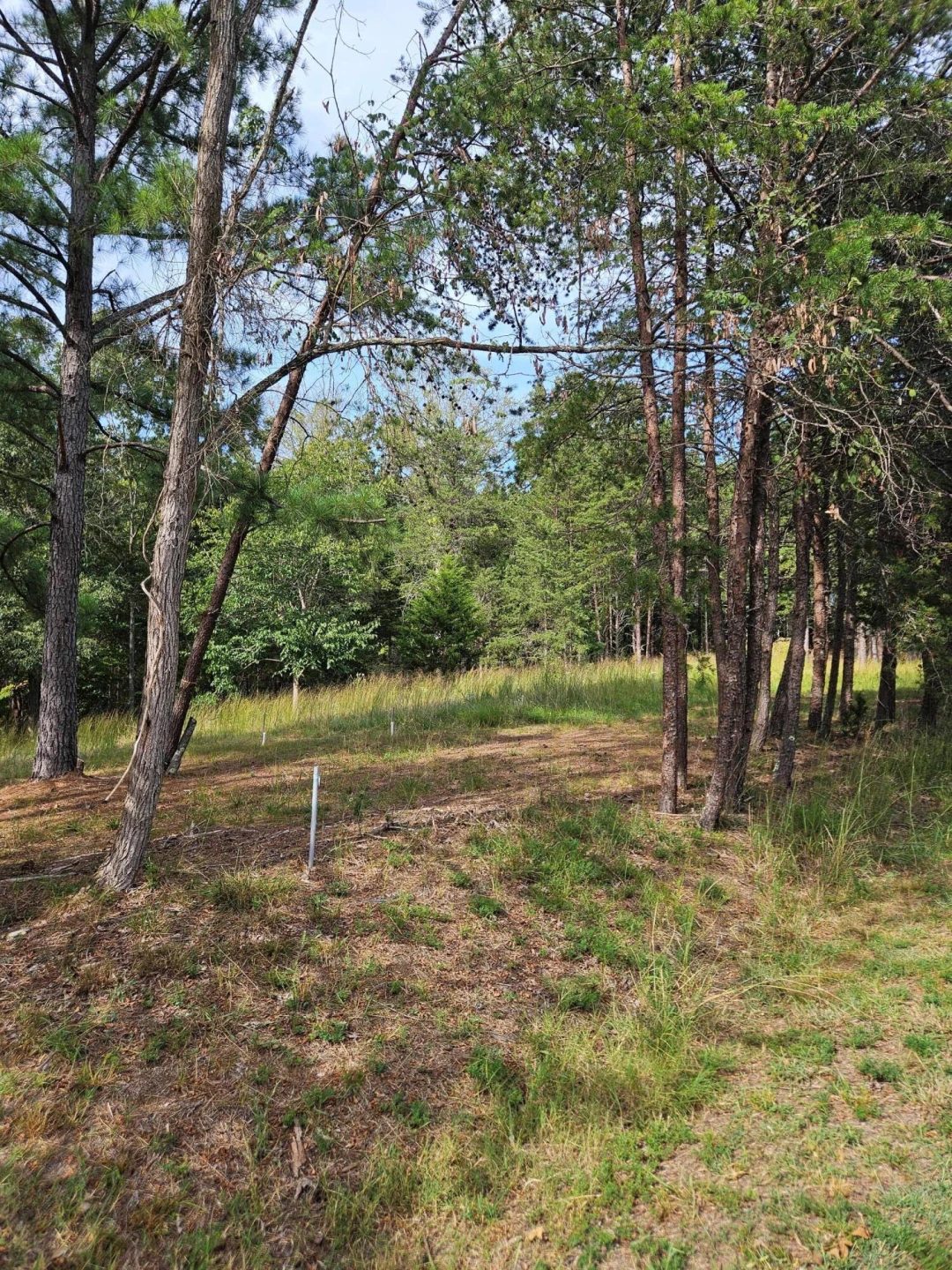 Lots 63&65 Meadow Point DR - Photo 14