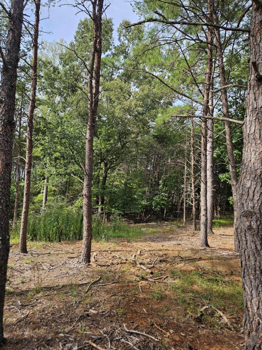 Lots 63&65 Meadow Point DR - Photo 15