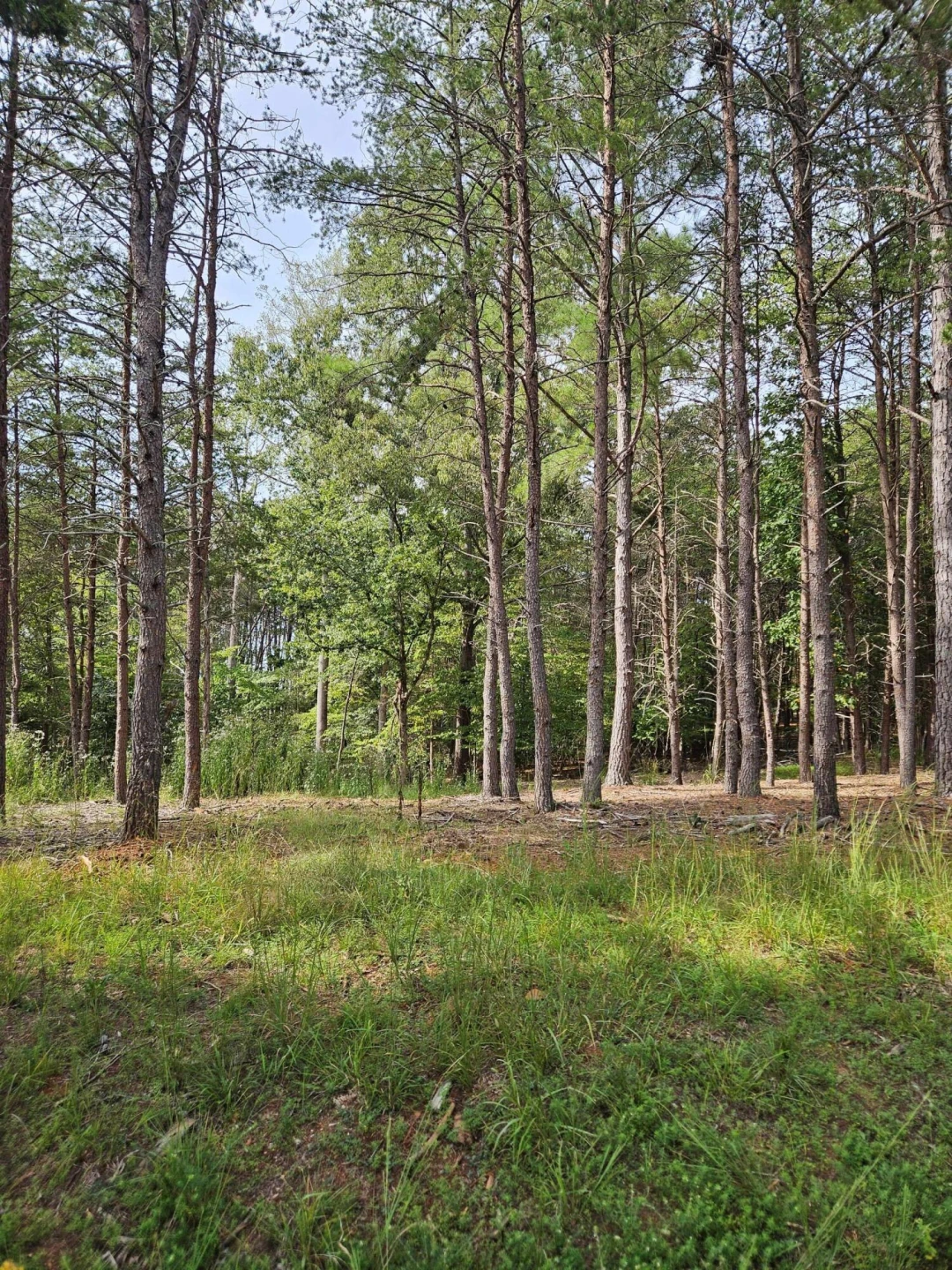 Lots 63&65 Meadow Point DR - Photo 16