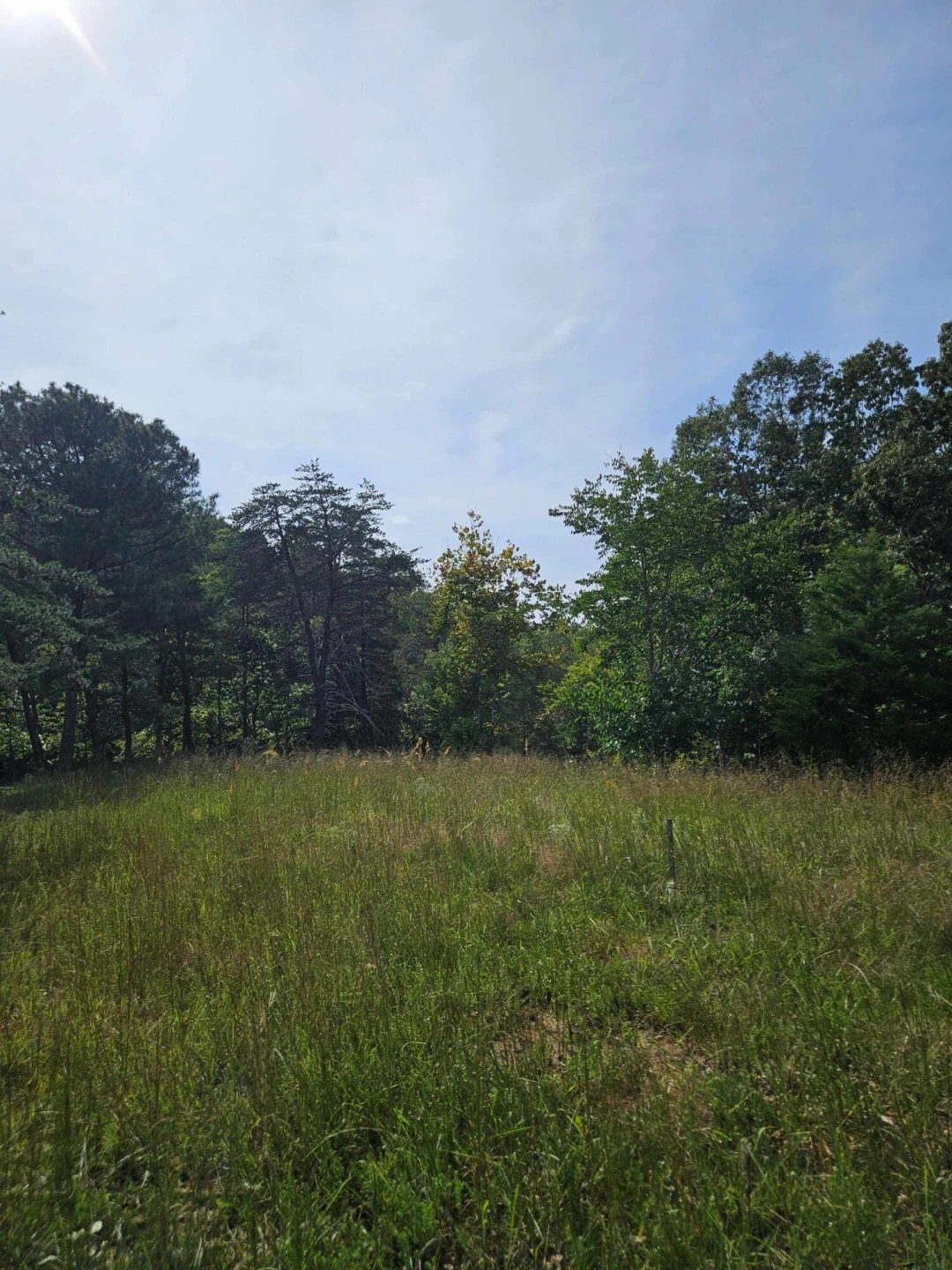 Lots 63&65 Meadow Point DR - Photo 17