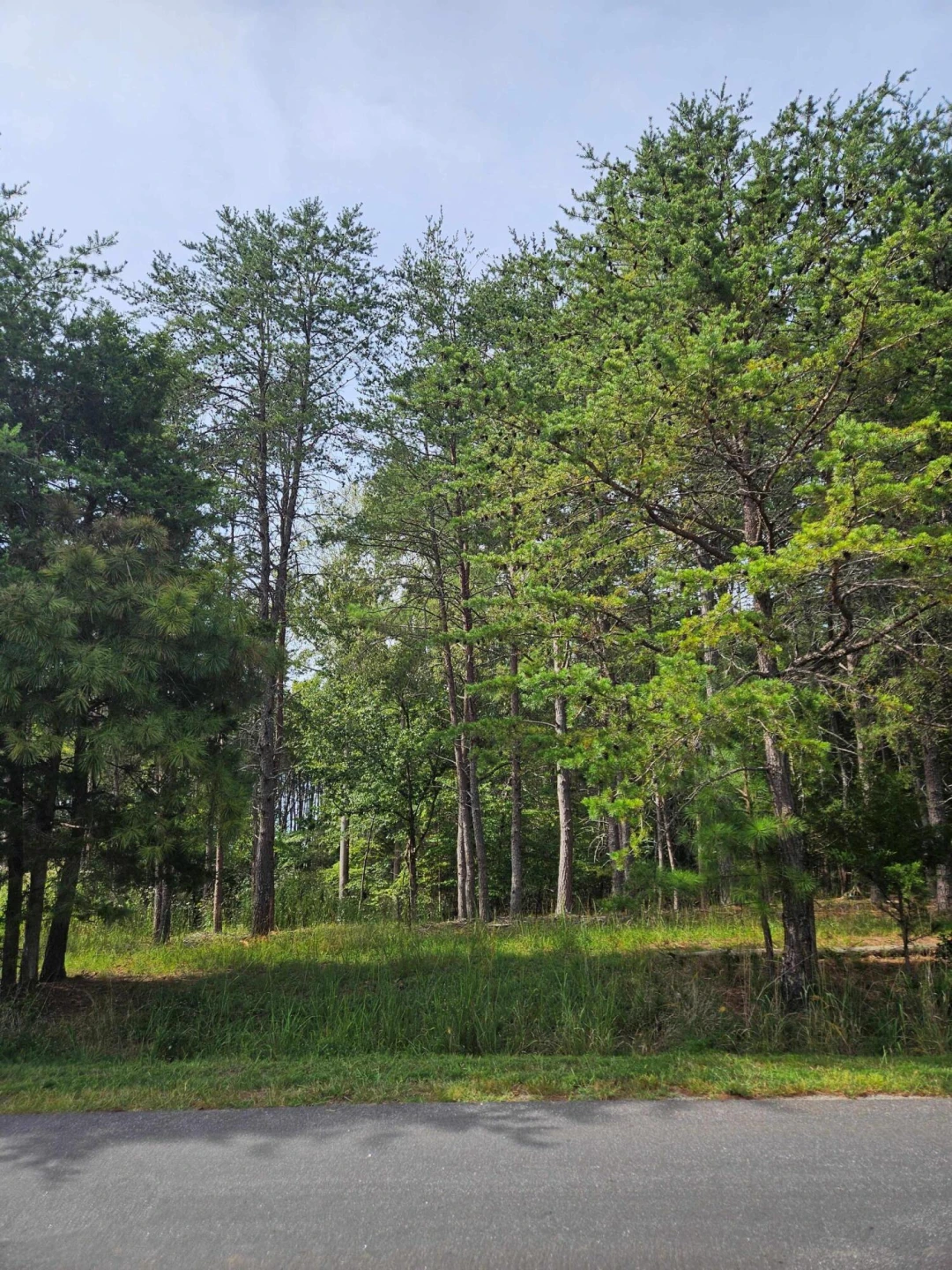 Lots 63&65 Meadow Point DR - Photo 21