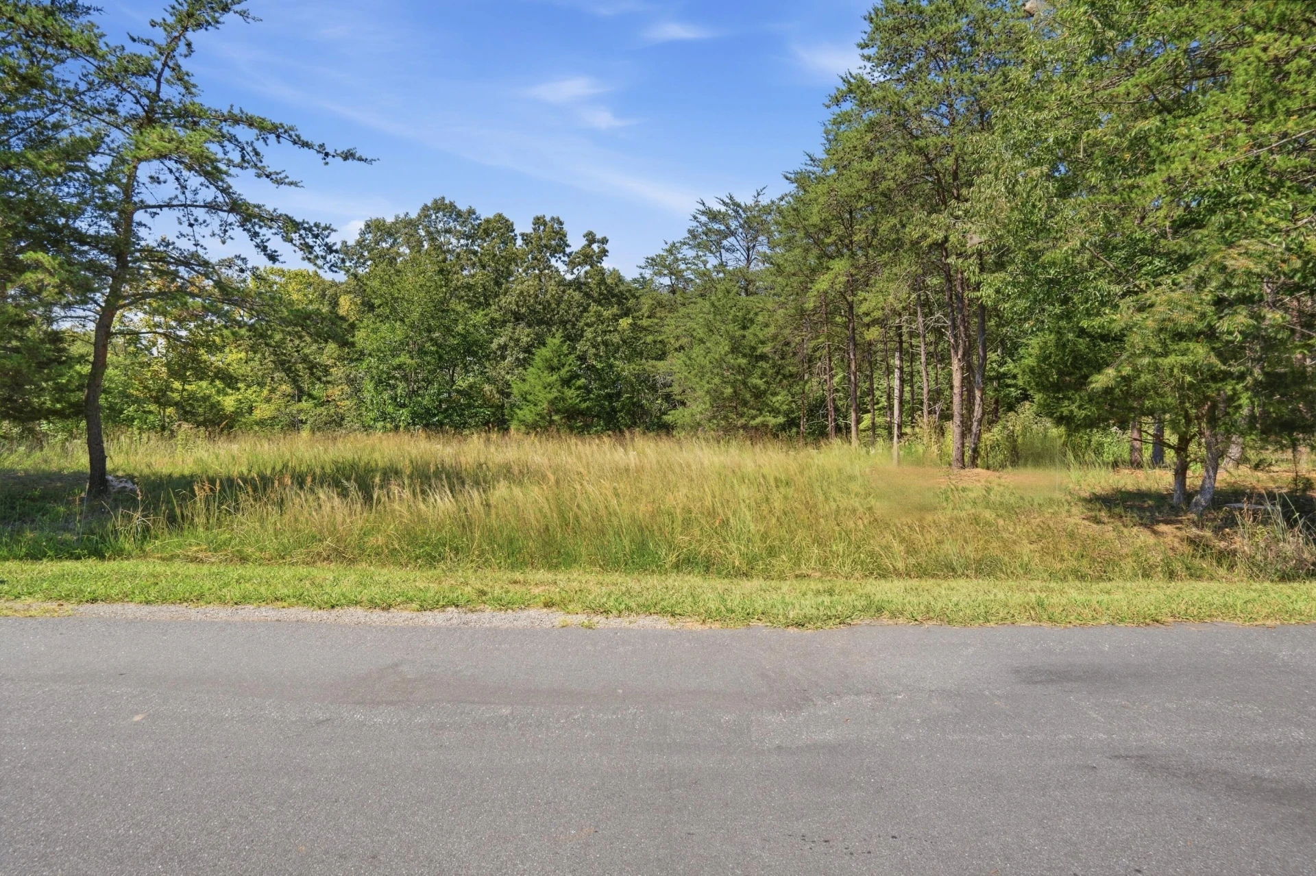 Lots 63&65 Meadow Point DR