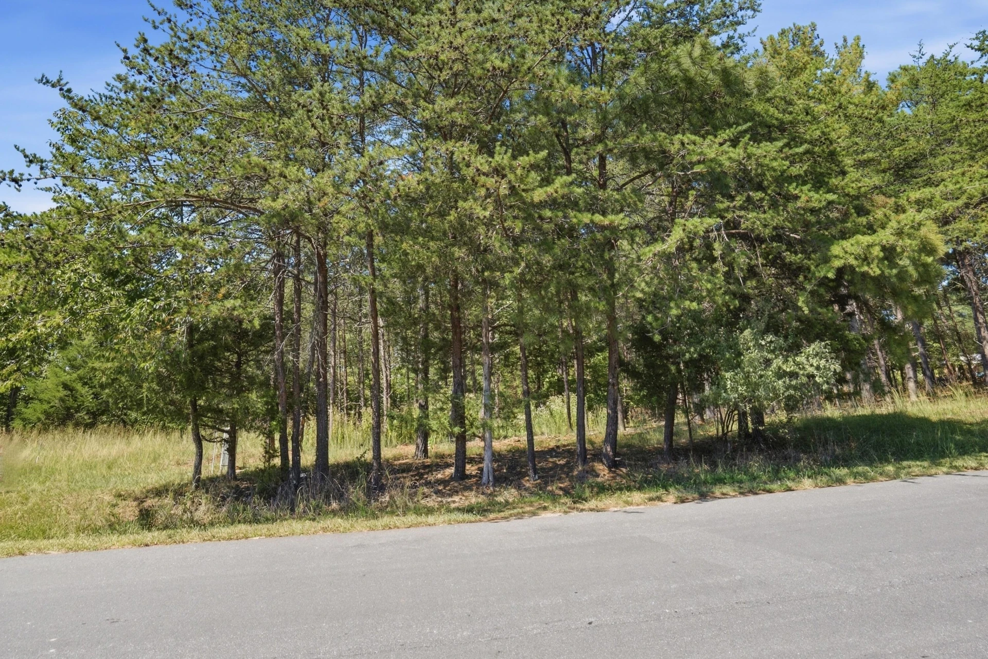 Lots 63&65 Meadow Point DR - Photo 2