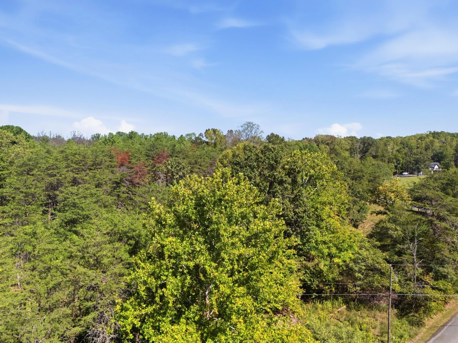 Lots 63&65 Meadow Point DR - Photo 6