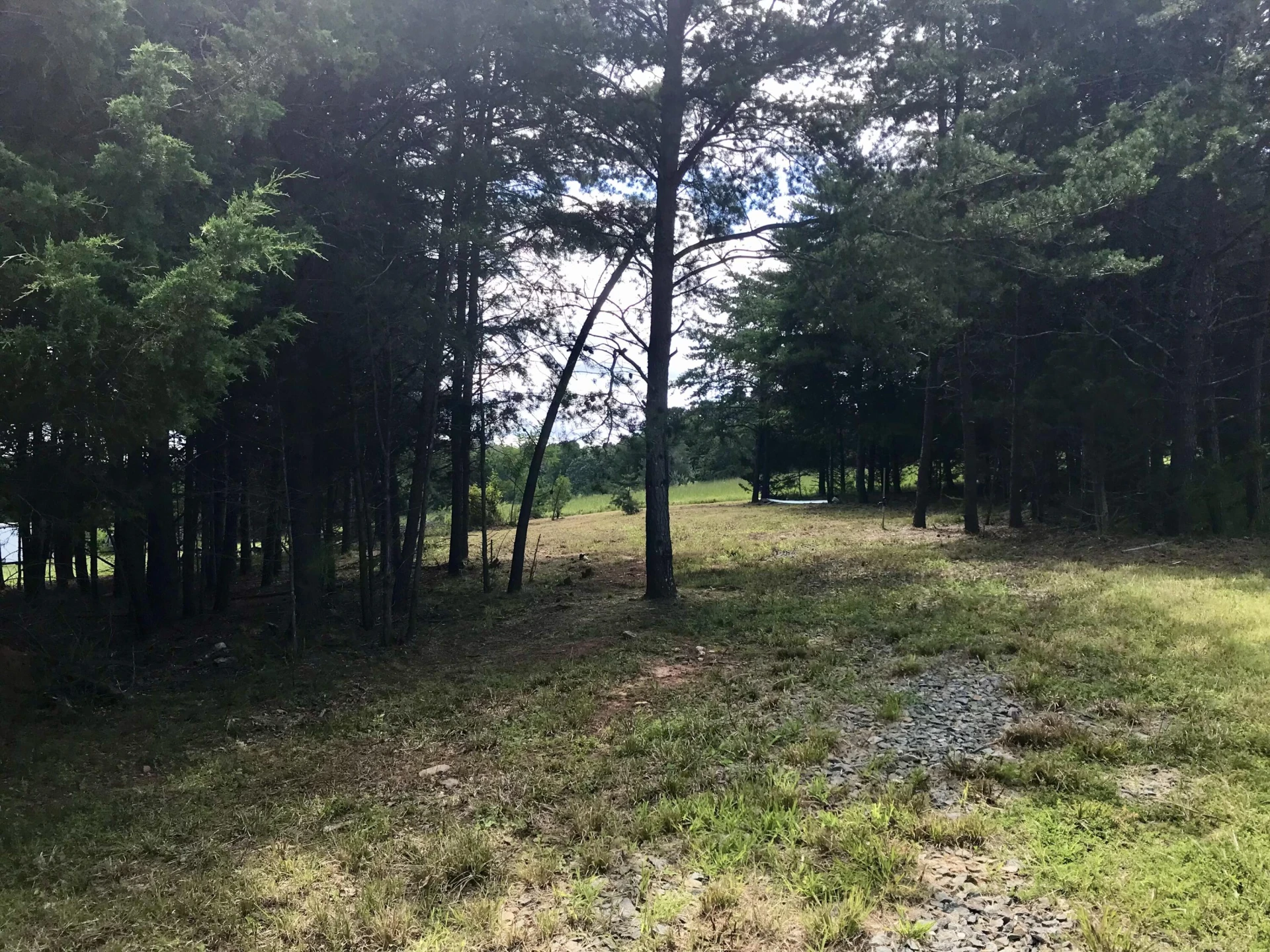 425 Belle Isle DR - Photo 4