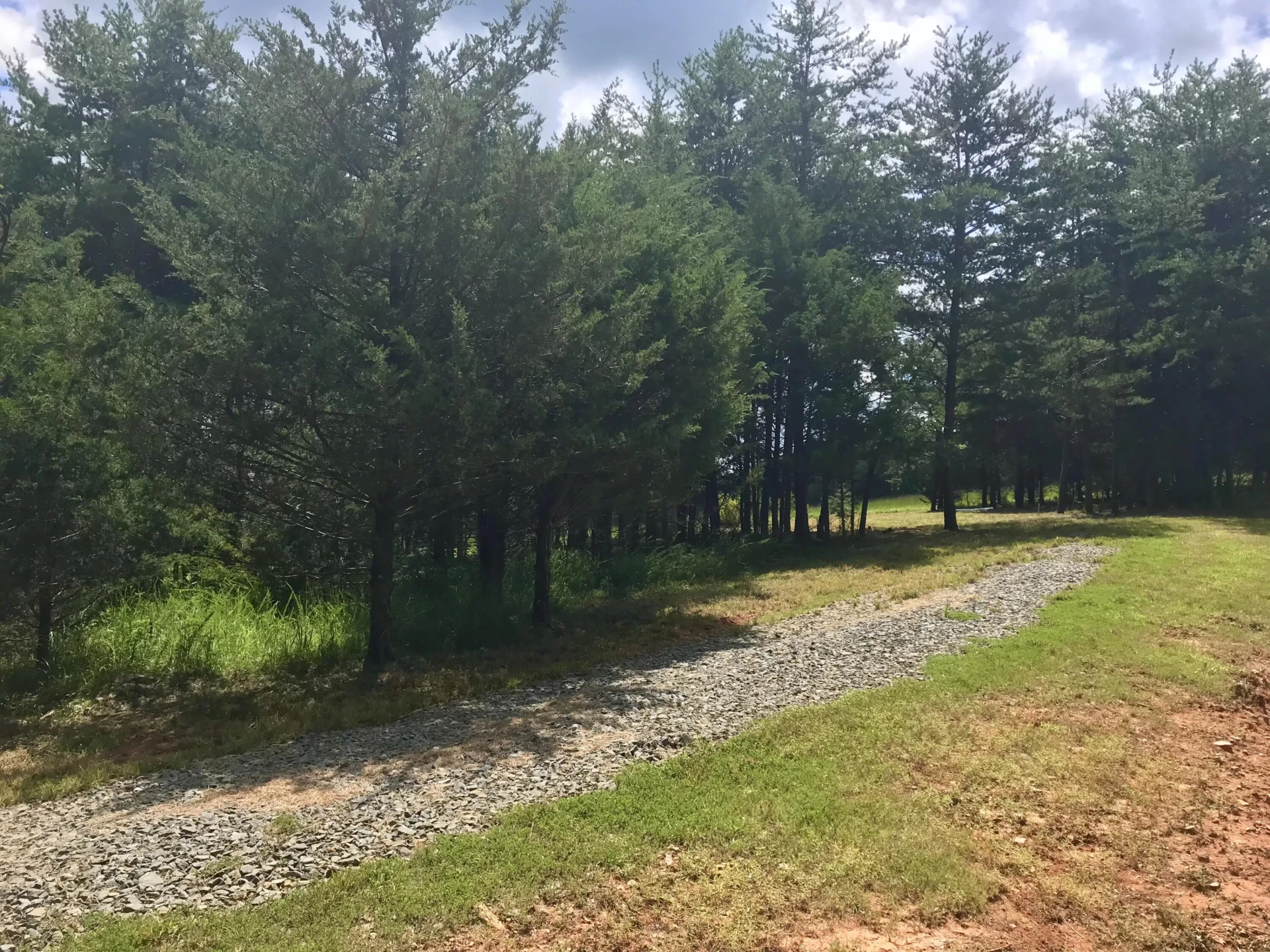 425 Belle Isle DR - Photo 11