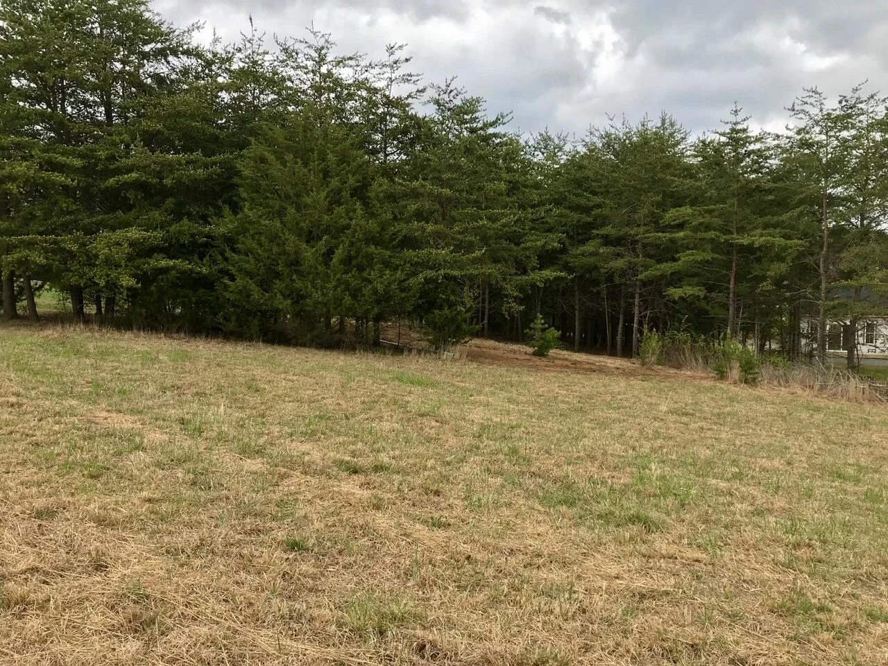 425 Belle Isle DR - Photo 15