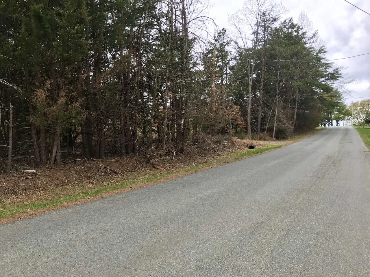 425 Belle Isle DR - Photo 16