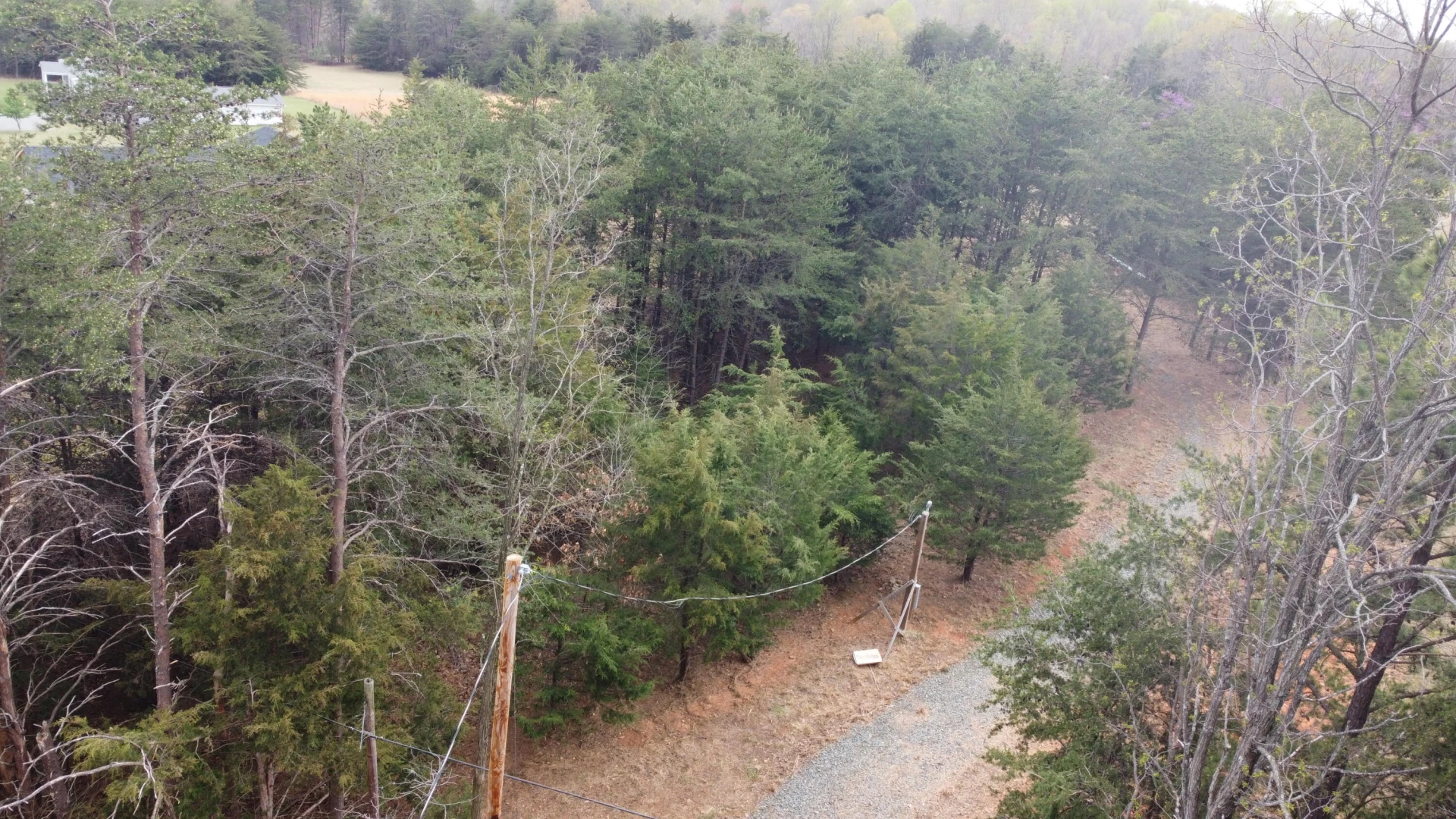 425 Belle Isle DR - Photo 21