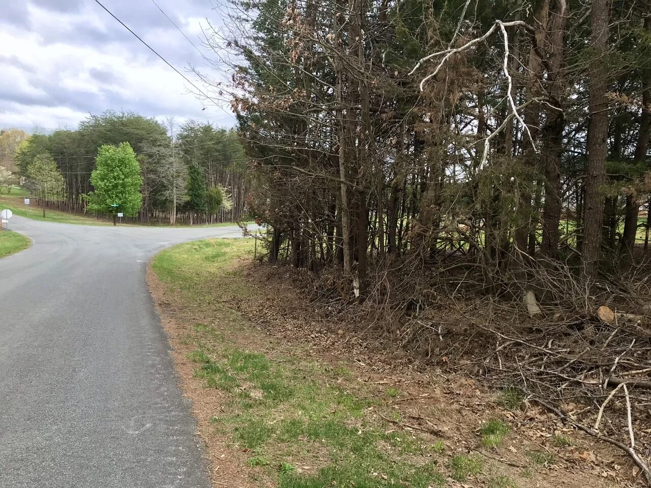 425 Belle Isle DR - Photo 30