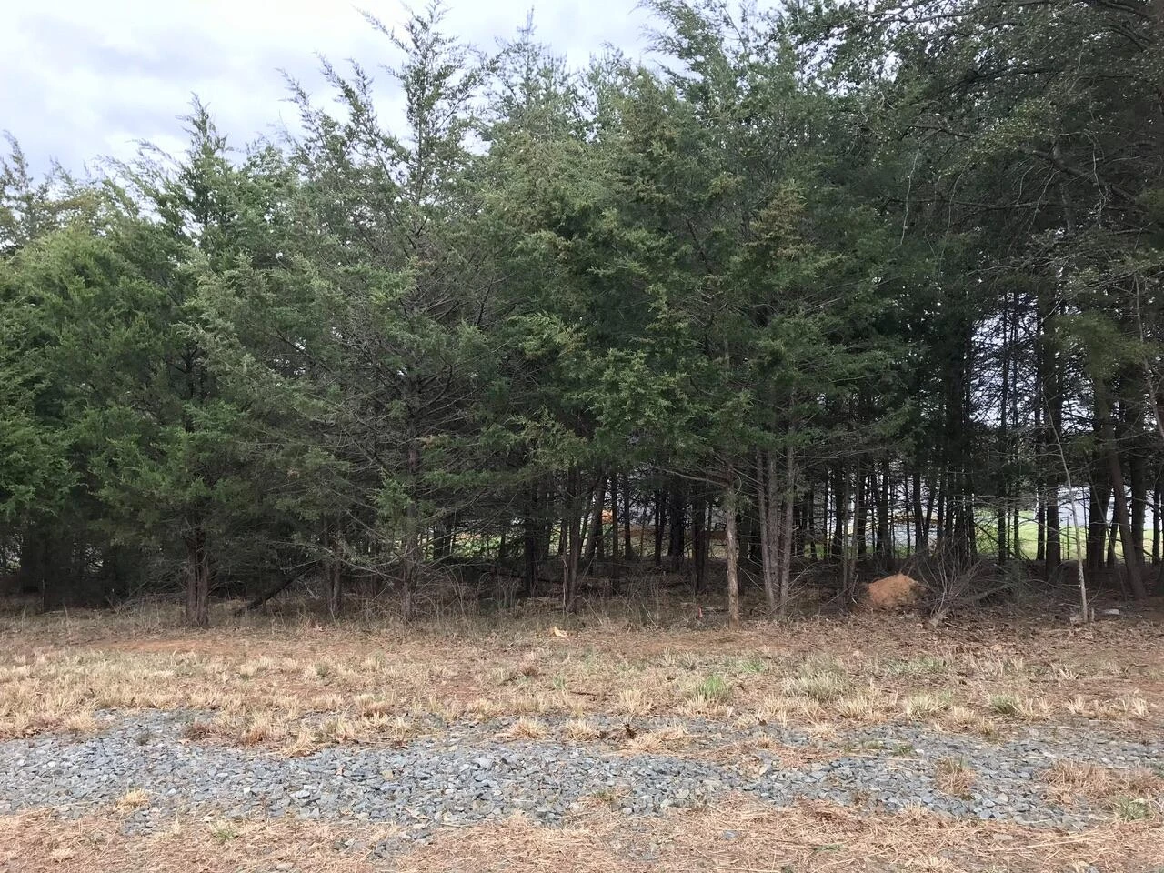 425 Belle Isle DR - Photo 31