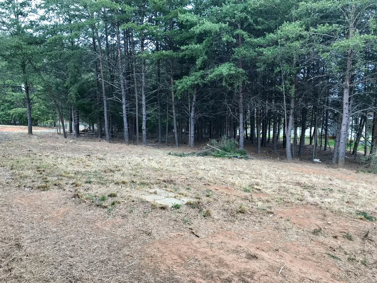 425 Belle Isle DR - Photo 33