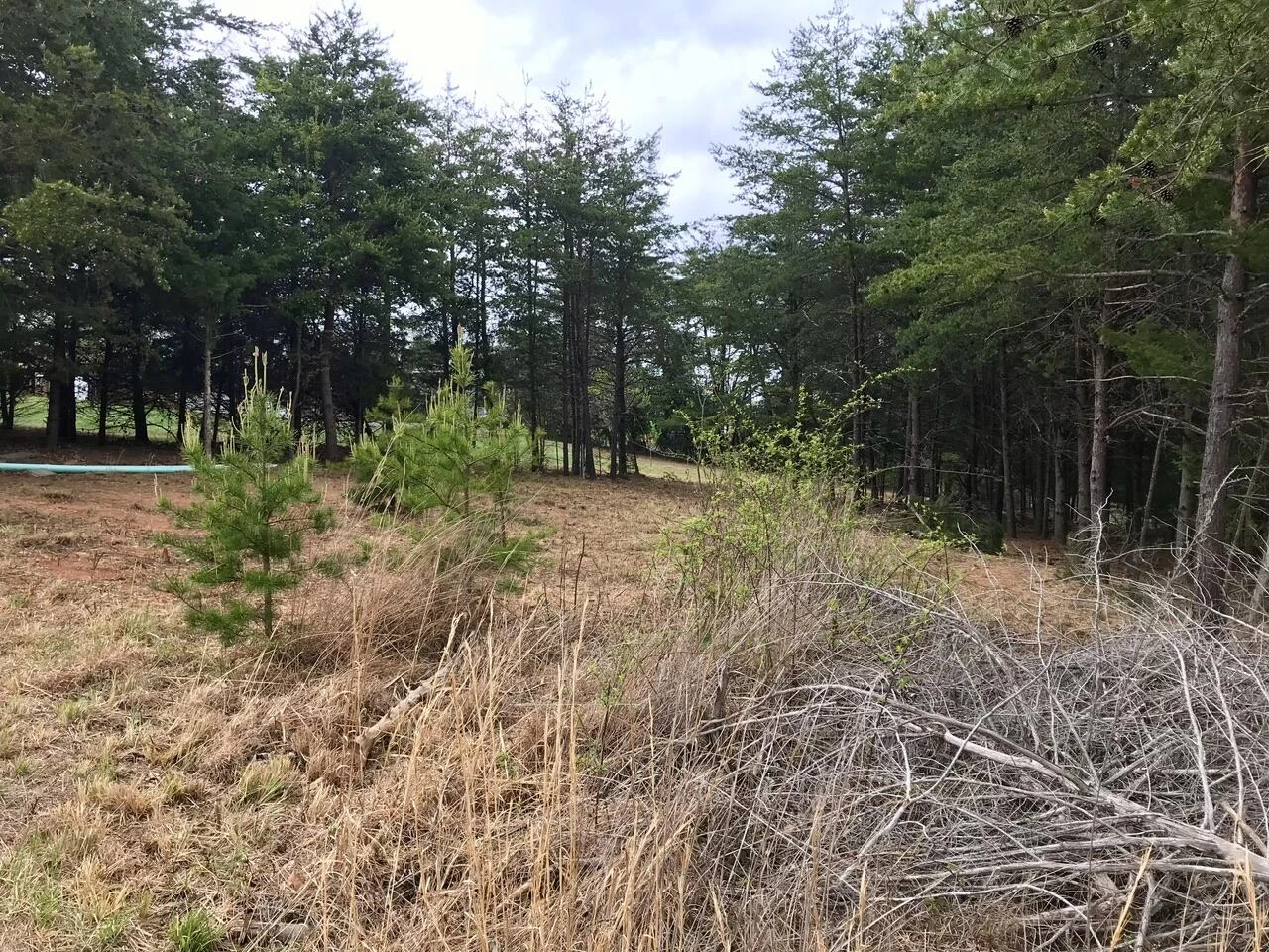 425 Belle Isle DR - Photo 34