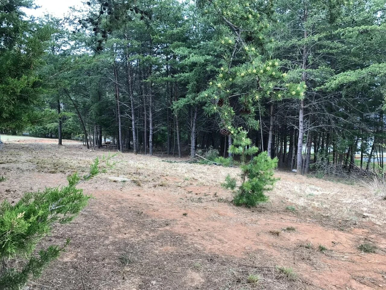 425 Belle Isle DR - Photo 35