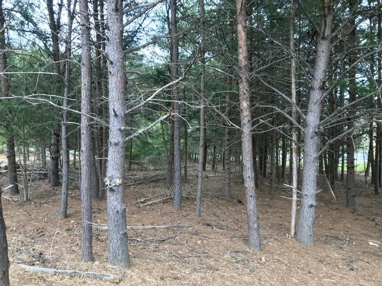 425 Belle Isle DR - Photo 36