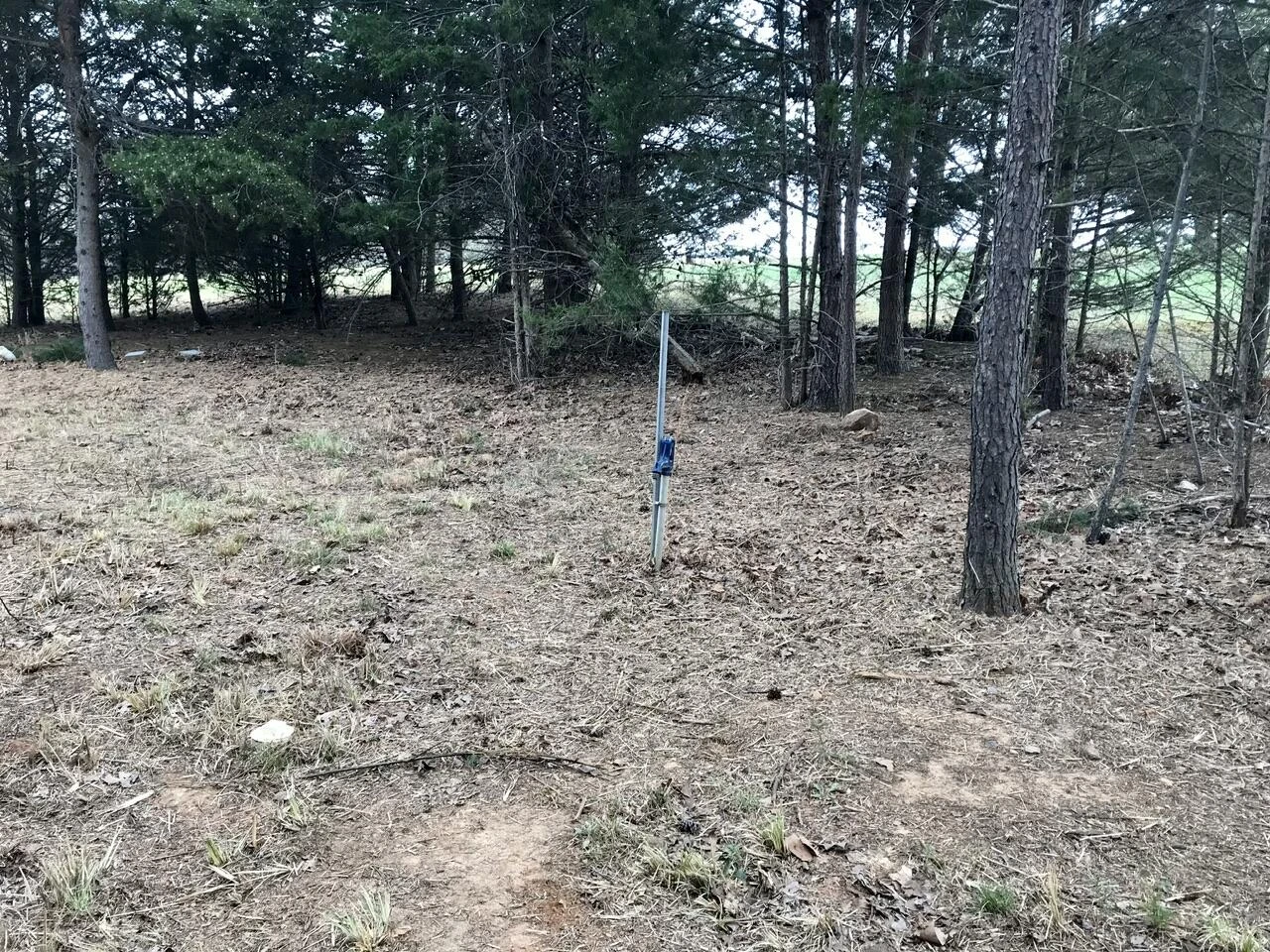 425 Belle Isle DR - Photo 38