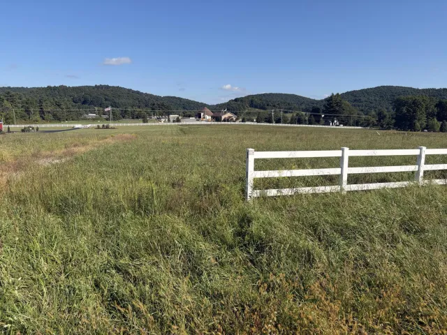 9786 Tinsley LN, Bent Mountain, VA, 24059