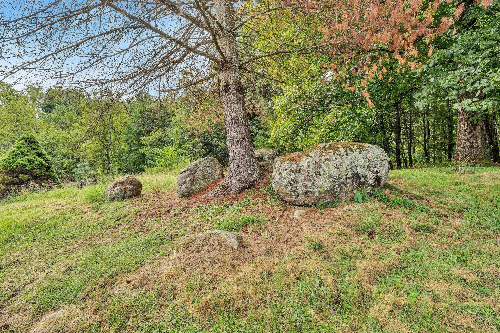 5678 S Roselawn RD - Photo 38