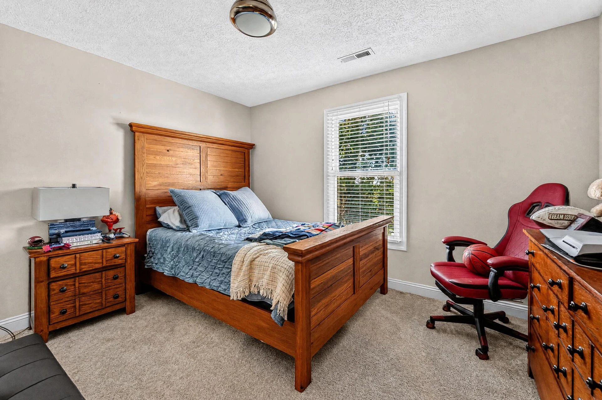 42 Peaks View DR - Photo 43