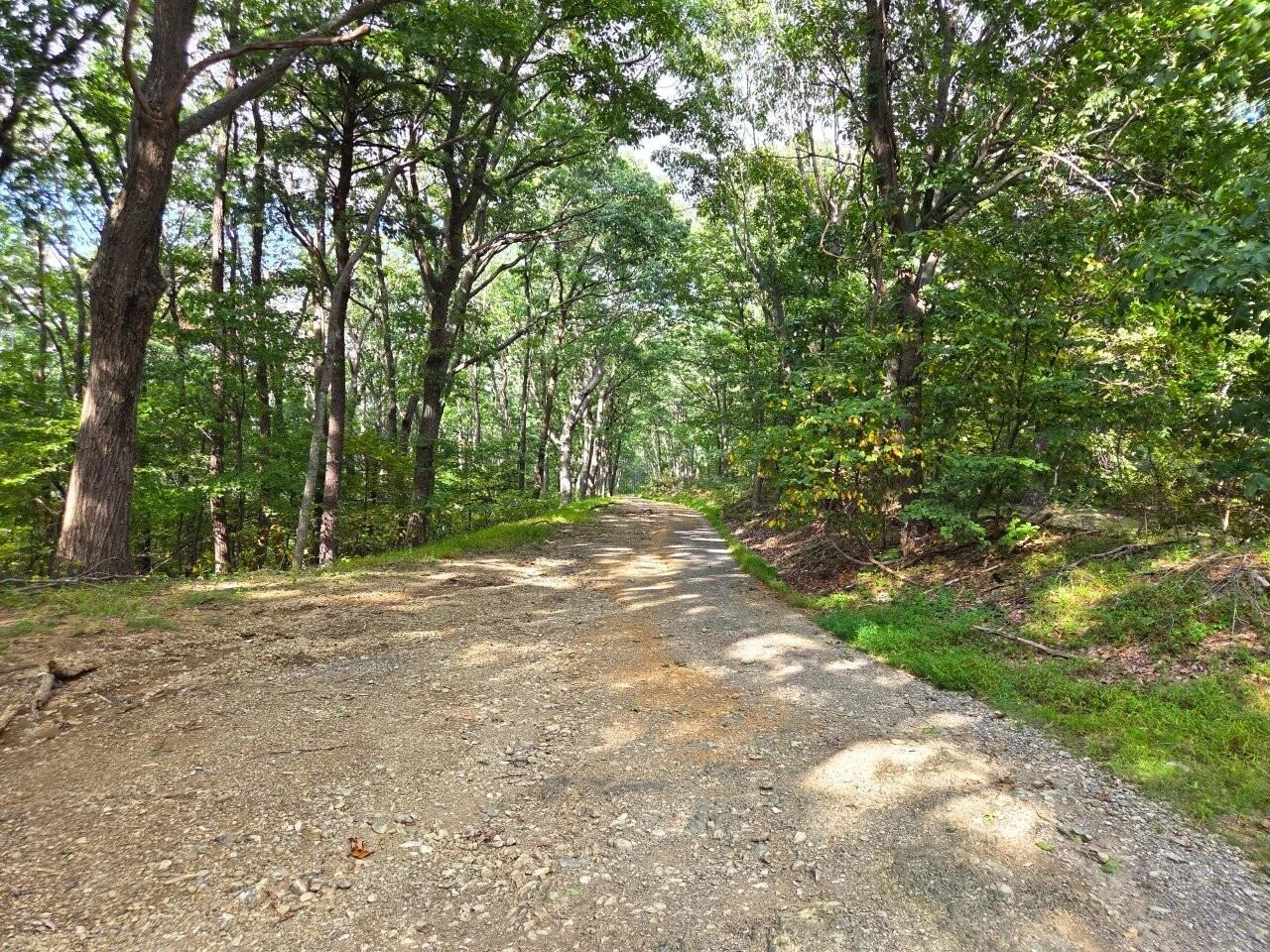 0 Poor Mountain RD - Photo 2
