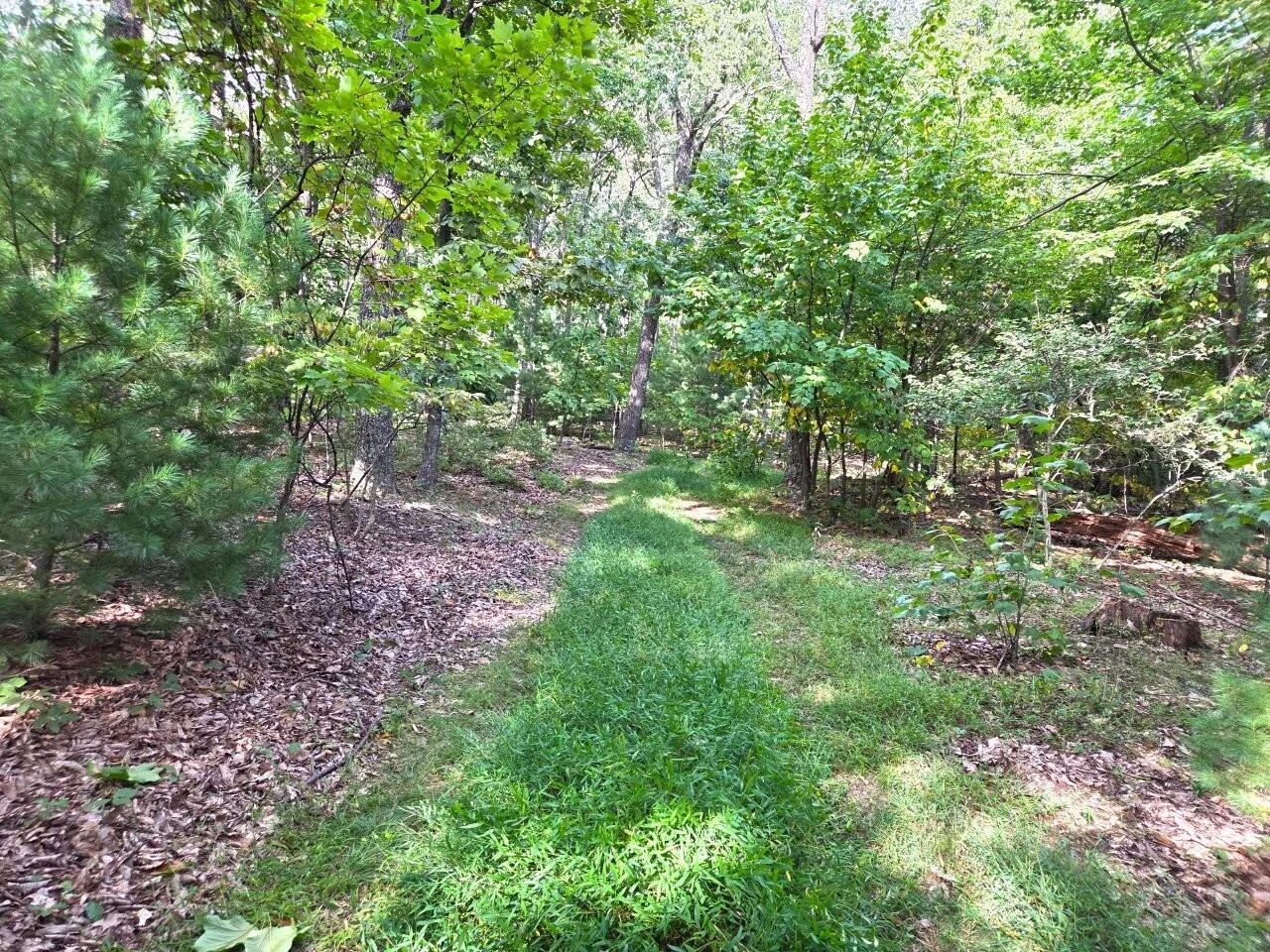 0 Poor Mountain RD - Photo 5