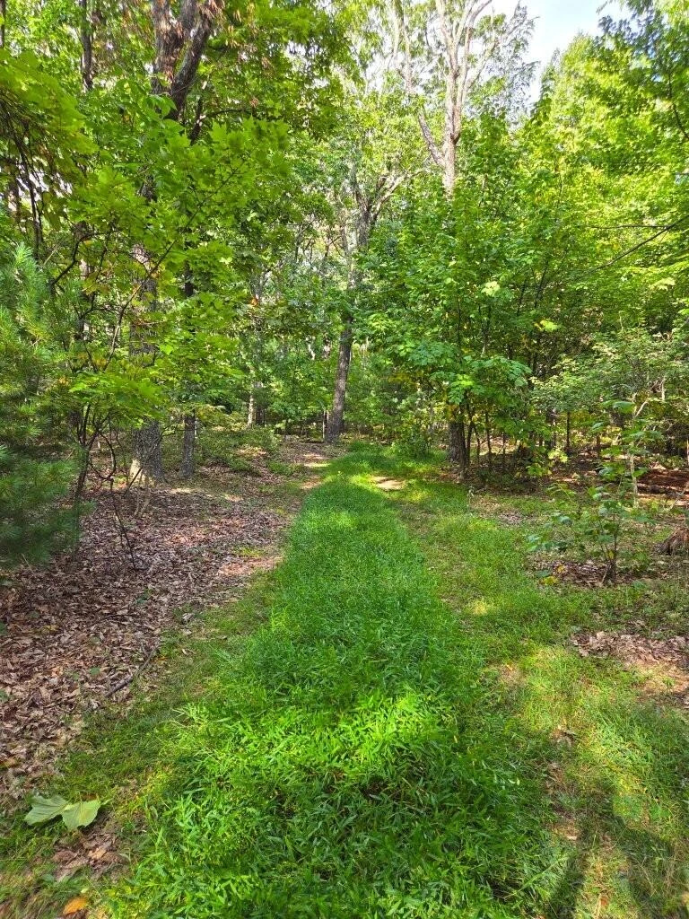 0 Poor Mountain RD - Photo 6