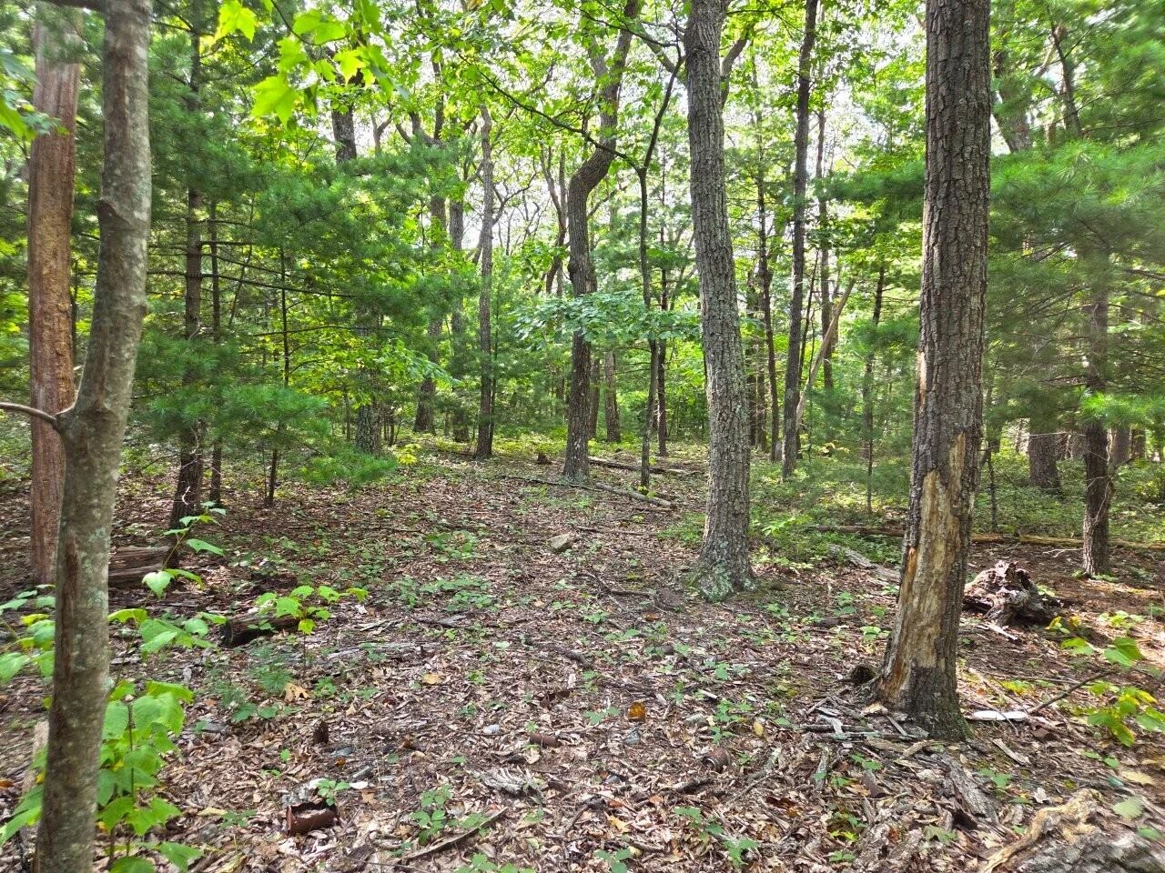 0 Poor Mountain RD - Photo 7