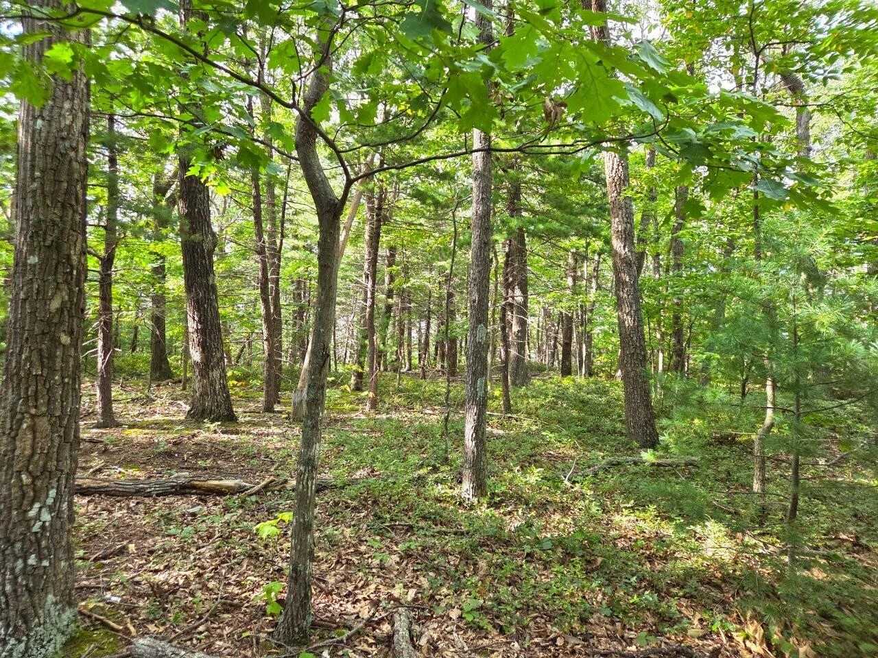 0 Poor Mountain RD - Photo 8
