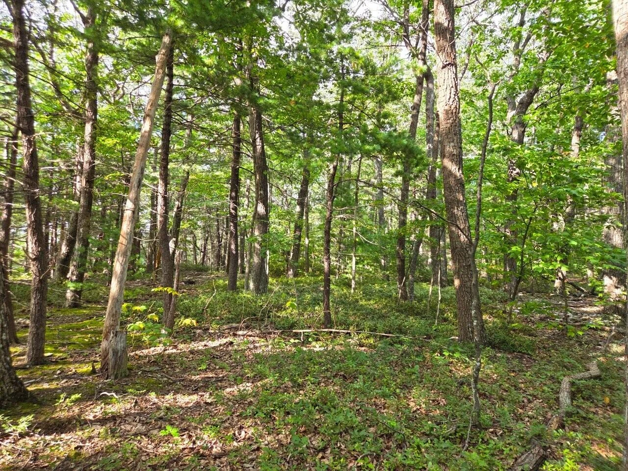 0 Poor Mountain RD - Photo 9