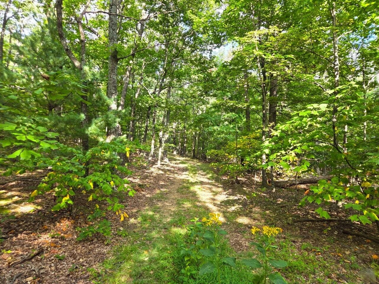 0 Poor Mountain RD - Photo 10