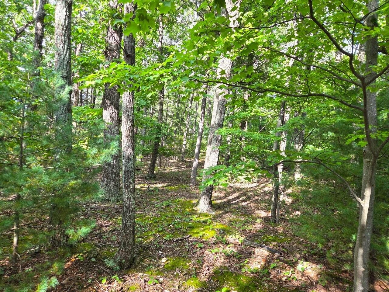 0 Poor Mountain RD - Photo 11
