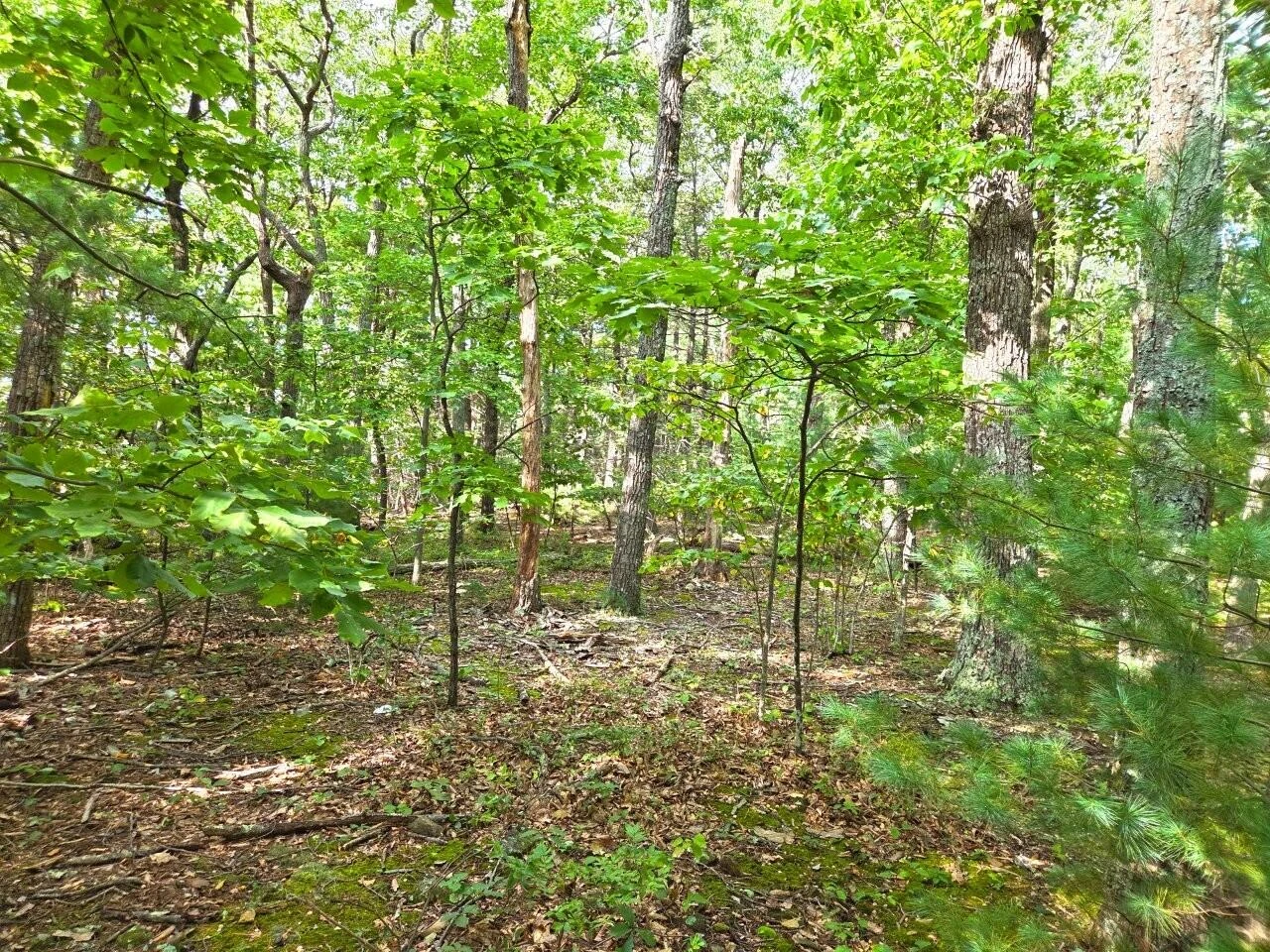 0 Poor Mountain RD - Photo 12