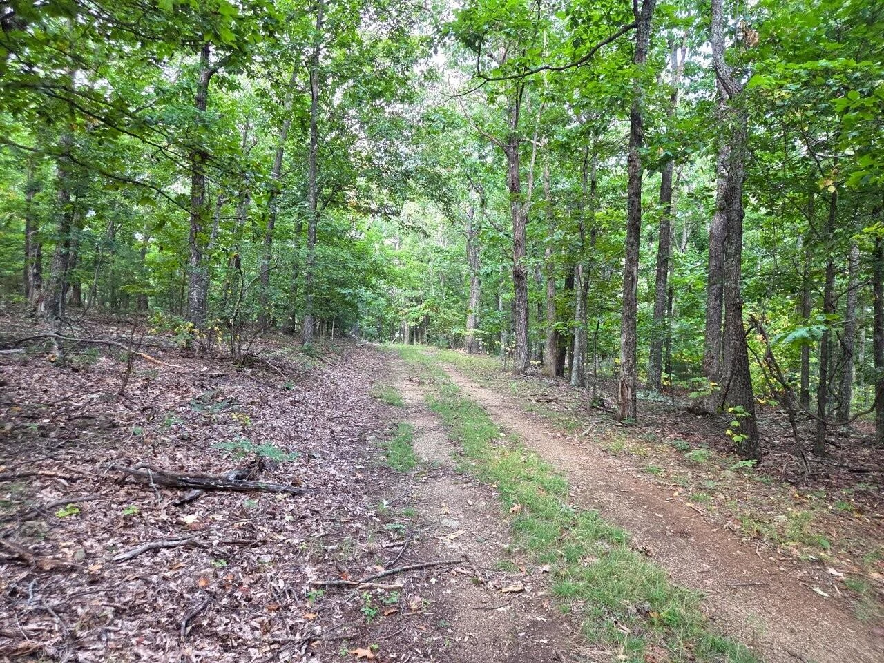 0 Poor Mountain RD - Photo 14